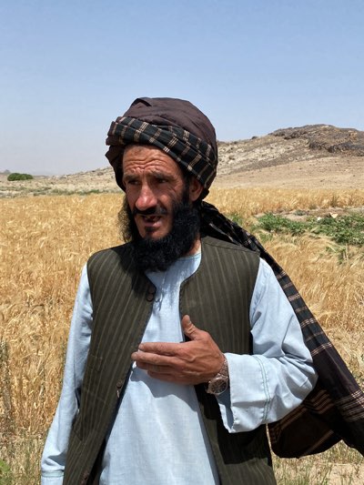 An adult man with a dark beard and weathered features is the central figure, positioned in front of a field of wheat. He wears a light blue shirt, a dark vest with vertical stripes, and a dark turban with a checkered pattern wrapped around his head. His right hand is raised slightly. In the background, a low, arid hill is visible under a clear sky. The location is Mansurabad, Afghanistan.