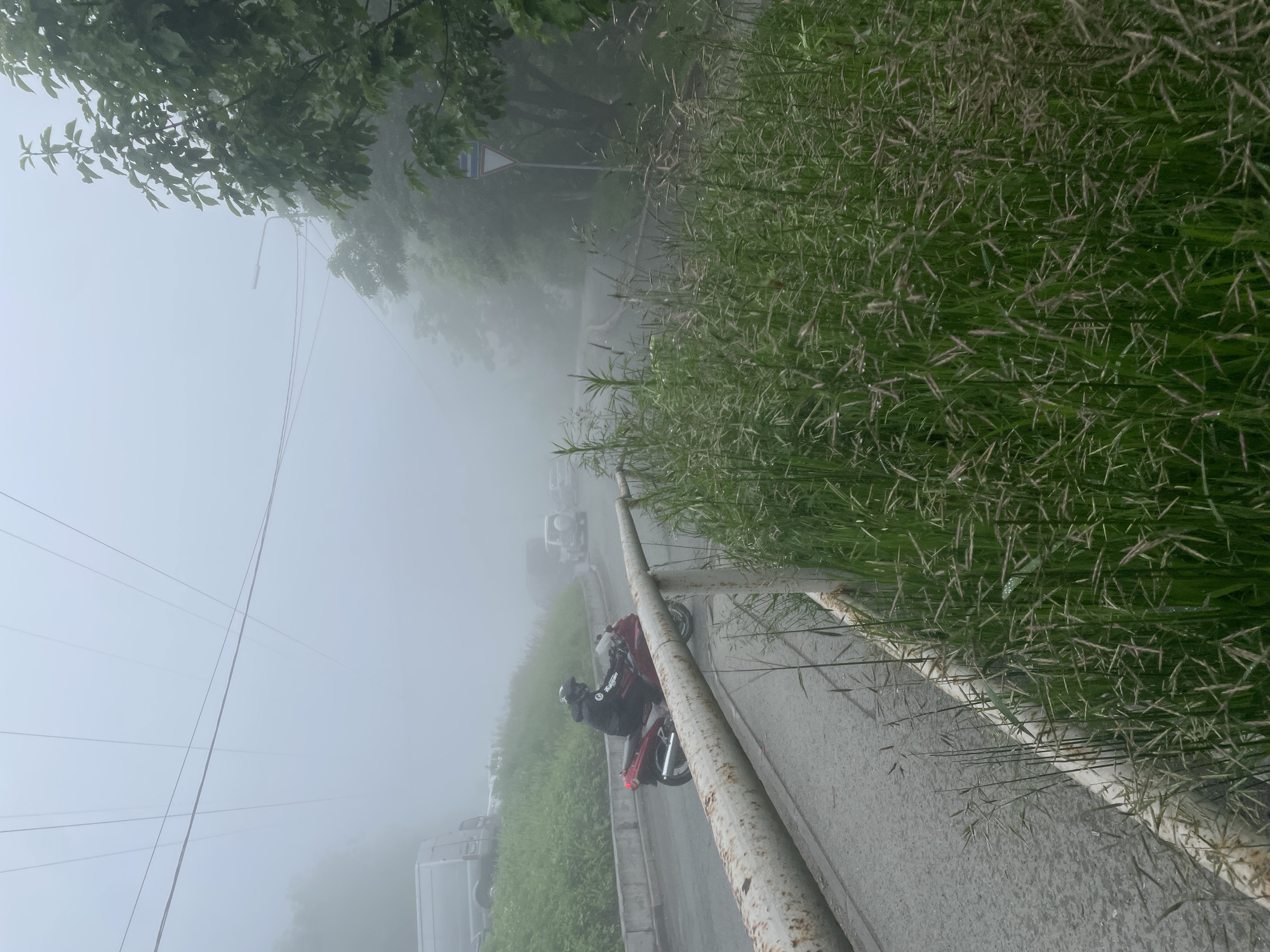 A person in a black jacket and helmet rides a red motorcycle on a foggy, wet asphalt road. The road curves to the right, bordered by a metal guardrail and lush green grass on the right. Trees and foliage are visible on the right side of the road, fading into the thick fog. A blue and white triangular sign is affixed to a pole on the right. In the distance, several vehicles, including vans and a white SUV, are visible on the road, partially obscured by the fog. Overhead, electrical wires stretch across the hazy sky. The scene appears to be on a suburban road in Vladivostok, Russia, likely during a misty or rainy day.