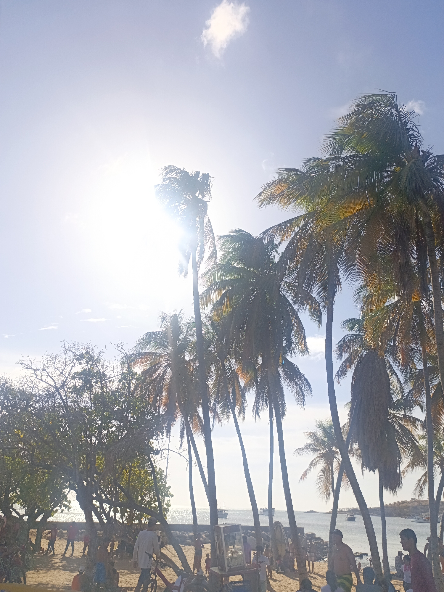 The image depicts a sunny day on the beach in Juan Griego, Venezuela. The foreground shows a sandy beach with a group of people engaged in various activities. Some are walking, while others are standing or sitting. A few bicycles are visible among the people. Palm trees dominate the scene, their tall trunks and leafy crowns reaching towards the sky. In the background, the ocean stretches out to the horizon, with a rocky outcrop and several boats visible in the distance. The bright sunlight illuminates the scene, creating a hazy effect around the palm trees and the sky.