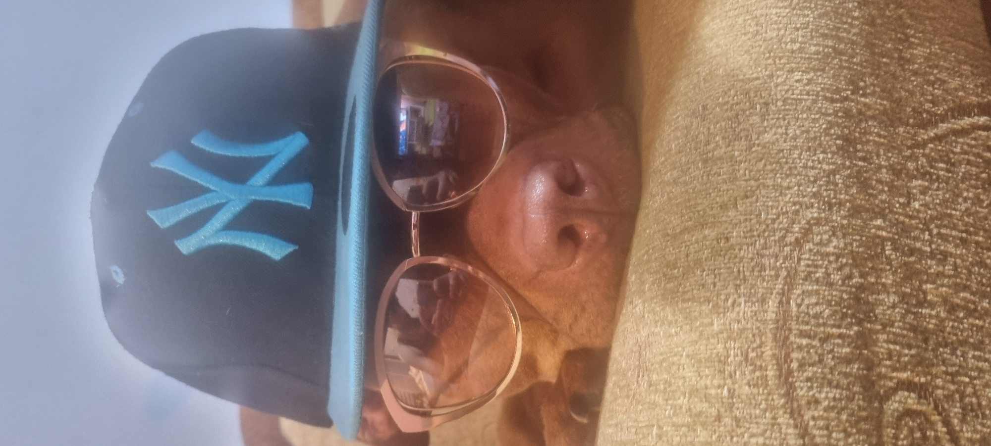 A portrait-style close-up photo shows a dog wearing a New York Yankees baseball cap and sunglasses. The image is oriented horizontally, with the dog's head appearing to be on its side. The dog has reddish-brown fur, and its muzzle, including its wet nose and nostrils, is clearly visible.
The black baseball cap features a prominent light blue brim and a matching light blue embroidered "NY" logo on the front. Gold-framed sunglasses with dark, reflective lenses rest on the dog's face. Within the reflections on the sunglass lenses, indistinct indoor elements, possibly shelves or a screen with colorful lights, can be seen.
The background to the dog's left is a bright, plain, light-colored surface, while to its right, there is a textured, light brown or tan fabric, possibly a blanket, pillow, or sofa upholstery, where the dog appears to be resting. The setting suggests an indoor environment, and the overall image conveys a humorous and casual moment.