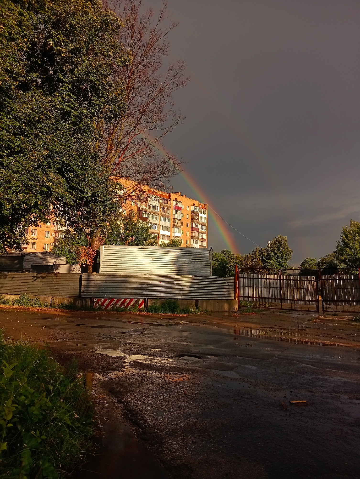 A double rainbow arcs across a dark, stormy sky over an urban landscape. In the foreground, a wet, uneven asphalt surface reflects the muted light, with patches of green grass to the left. A corrugated metal fence runs horizontally across the mid-ground, partially obscuring a residential building in the background. This building, constructed of orange bricks, has multiple floors and numerous windows. Beyond the metal fence, a taller, dark metal gate stands closed. Trees are present on both sides of the frame, with a large, leafy tree on the left and sparser trees on the right, some of which are bare branches. The overall scene suggests a recent or ongoing rain shower, with the rainbow indicating the presence of sunlight breaking through the clouds.