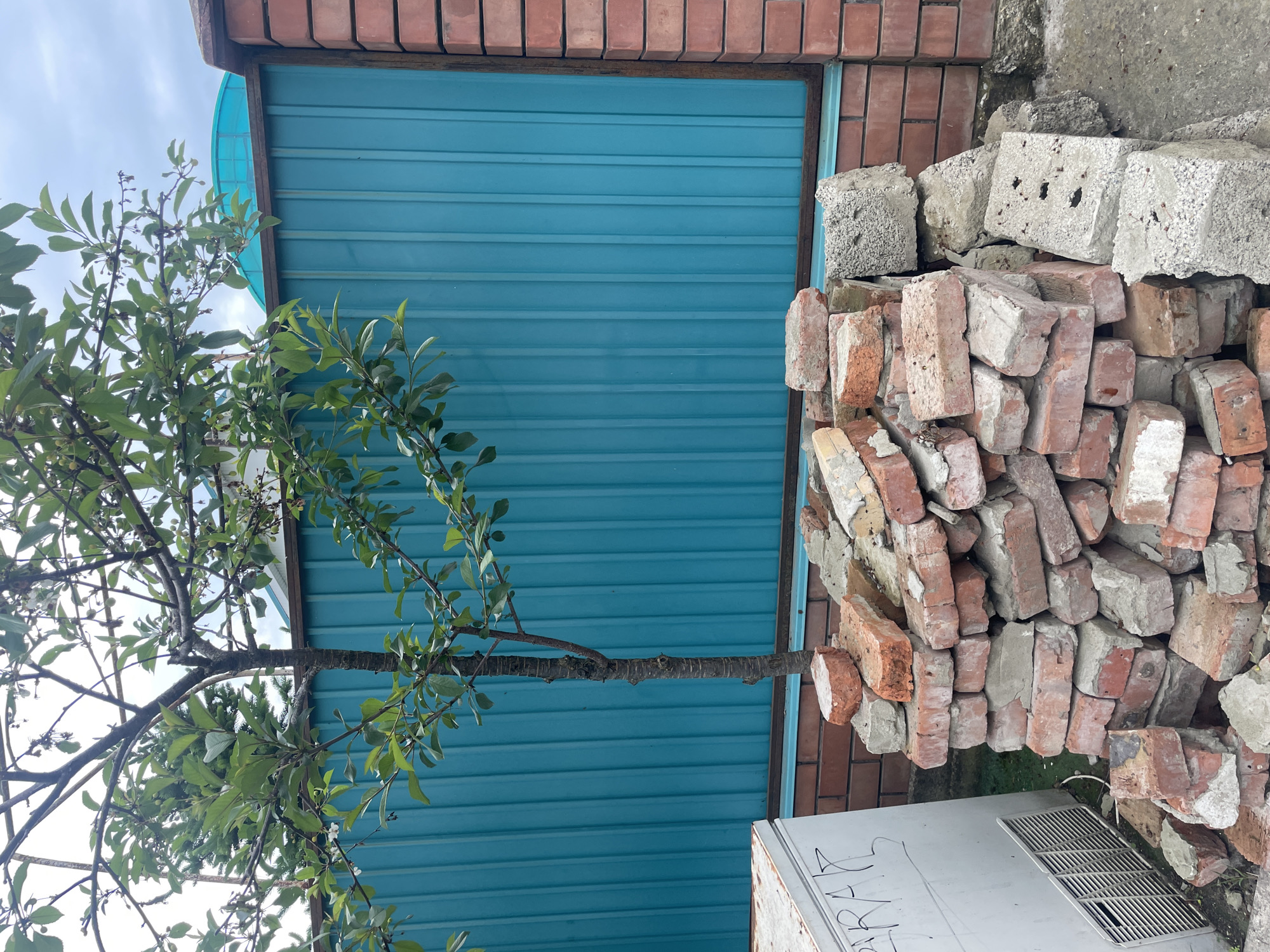 The image depicts a collection of red bricks and grey blocks piled against a blue corrugated metal wall. A tree with green leaves is present on the left side of the image, its branches partially obscuring the metal wall. Above the metal wall, a section of red brick is visible. A white object with markings can be seen below the pile of bricks and blocks. The location is presumed to be Olginka, Russia.