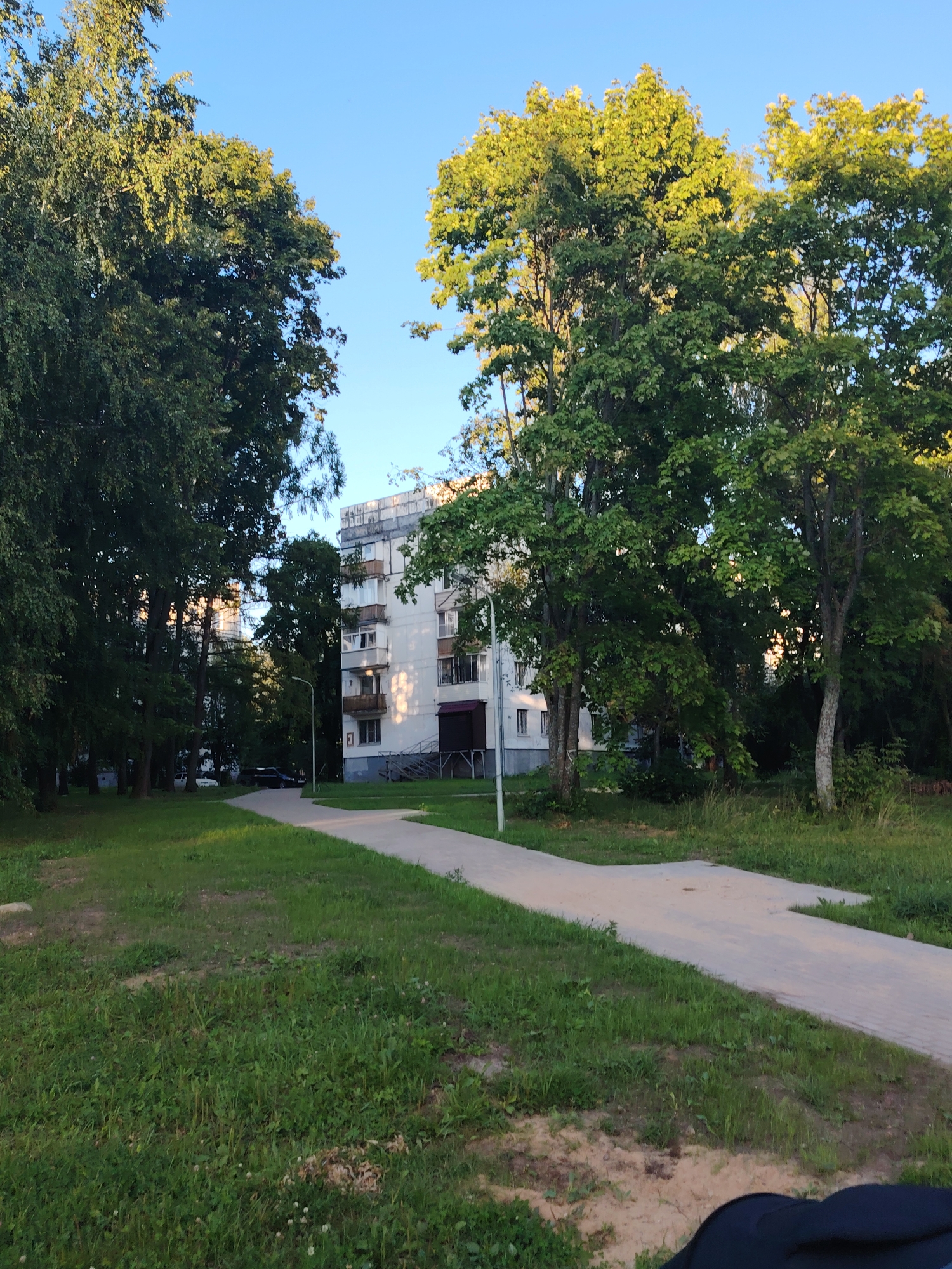 The image depicts a paved walkway curving through a grassy area in a residential neighborhood, likely in Konakovo, Russia. A multi-story apartment building, primarily white with balconies, is visible in the background, partially obscured by mature trees with lush green foliage. The sky is clear and blue. The walkway appears to be made of light-colored rectangular pavers. The grass on either side of the walkway is green and somewhat unkempt, with patches of bare earth and scattered small white flowers. Sunlight is casting shadows, suggesting it is late afternoon or early evening. There are no people visible in the image. The overall scene conveys a sense of a quiet, everyday urban park or common area.