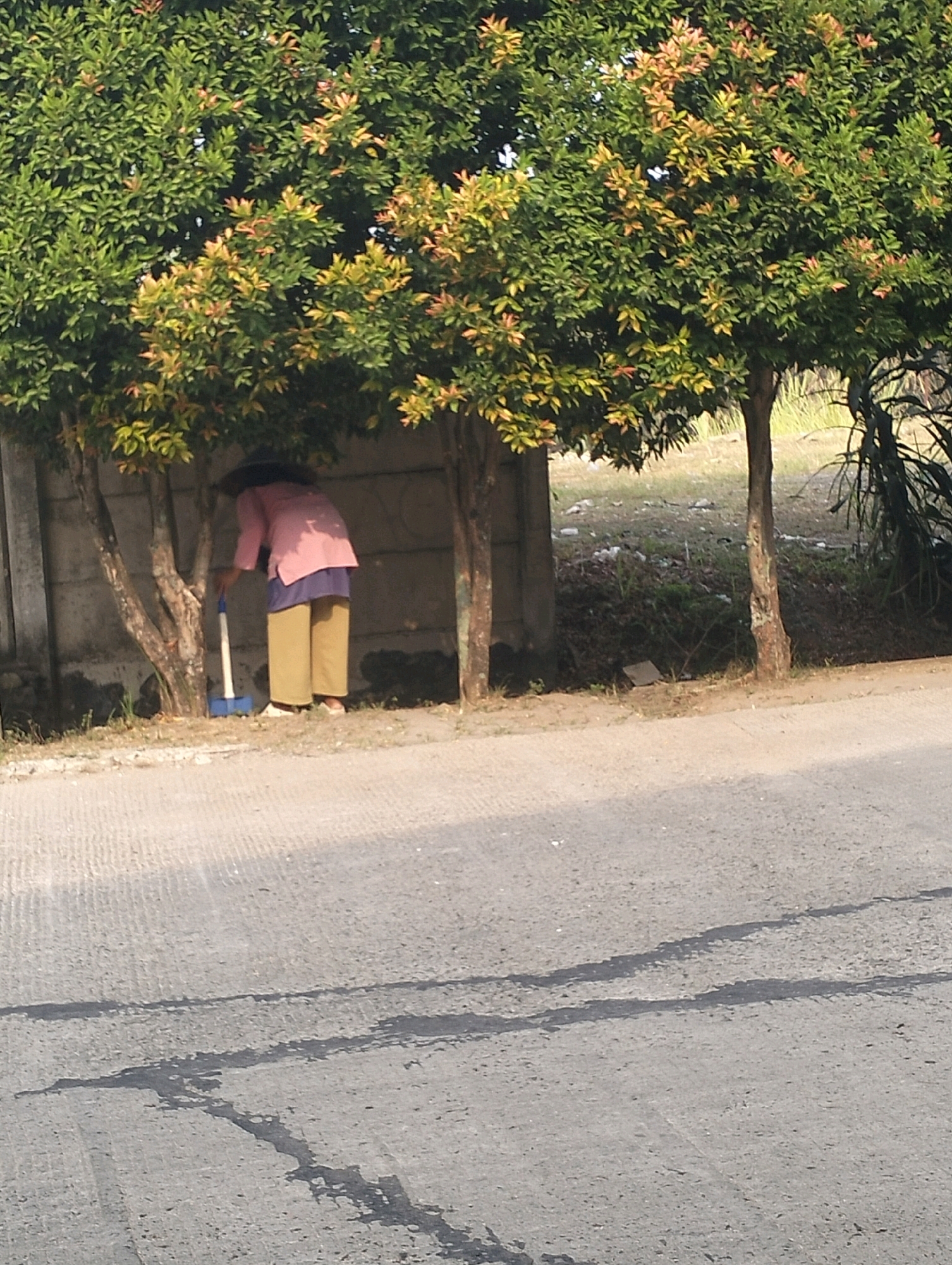 In Gunung Sindur, Indonesia, a person wearing a wide-brimmed hat and a pink long-sleeved shirt over a purple garment and tan pants is sweeping near a concrete wall and trees. The person is holding a broom with a white handle and blue bristles. The scene takes place outdoors, with lush green trees with some reddish-yellow leaves providing shade. A paved area, likely a road or pathway, is in the foreground, and a grassy area with some debris is visible behind the wall. The lighting suggests it is daytime.