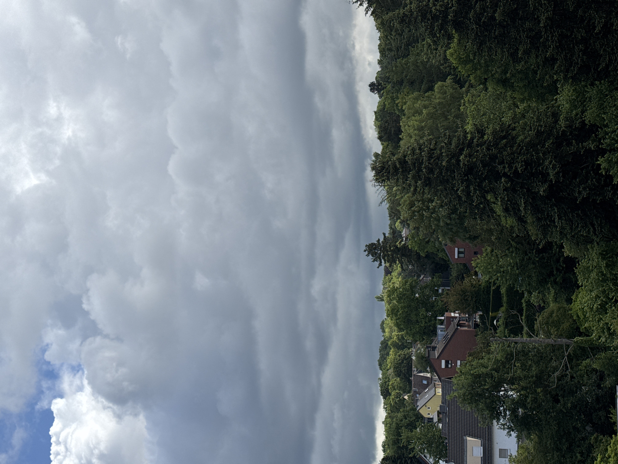 The image depicts a dense canopy of green trees and foliage, interspersed with the rooftops of residential buildings. The sky above is filled with dramatic, dark gray clouds, suggesting overcast or impending stormy weather. A few glimpses of blue sky are visible through breaks in the clouds, particularly in the upper left portion of the frame. The houses appear to be of traditional European design, with various roof types and architectural styles. Some of the trees are tall evergreens, while others are deciduous and appear to be in full leaf. A dead, bare tree trunk stands prominently in the foreground, partially obscured by the surrounding greenery. The overall impression is of a lush, residential area situated amidst a heavily wooded landscape under a threatening sky. Based on the provided context, this scene is located in Siegburg, Germany. There are no people or animals visible in the image.