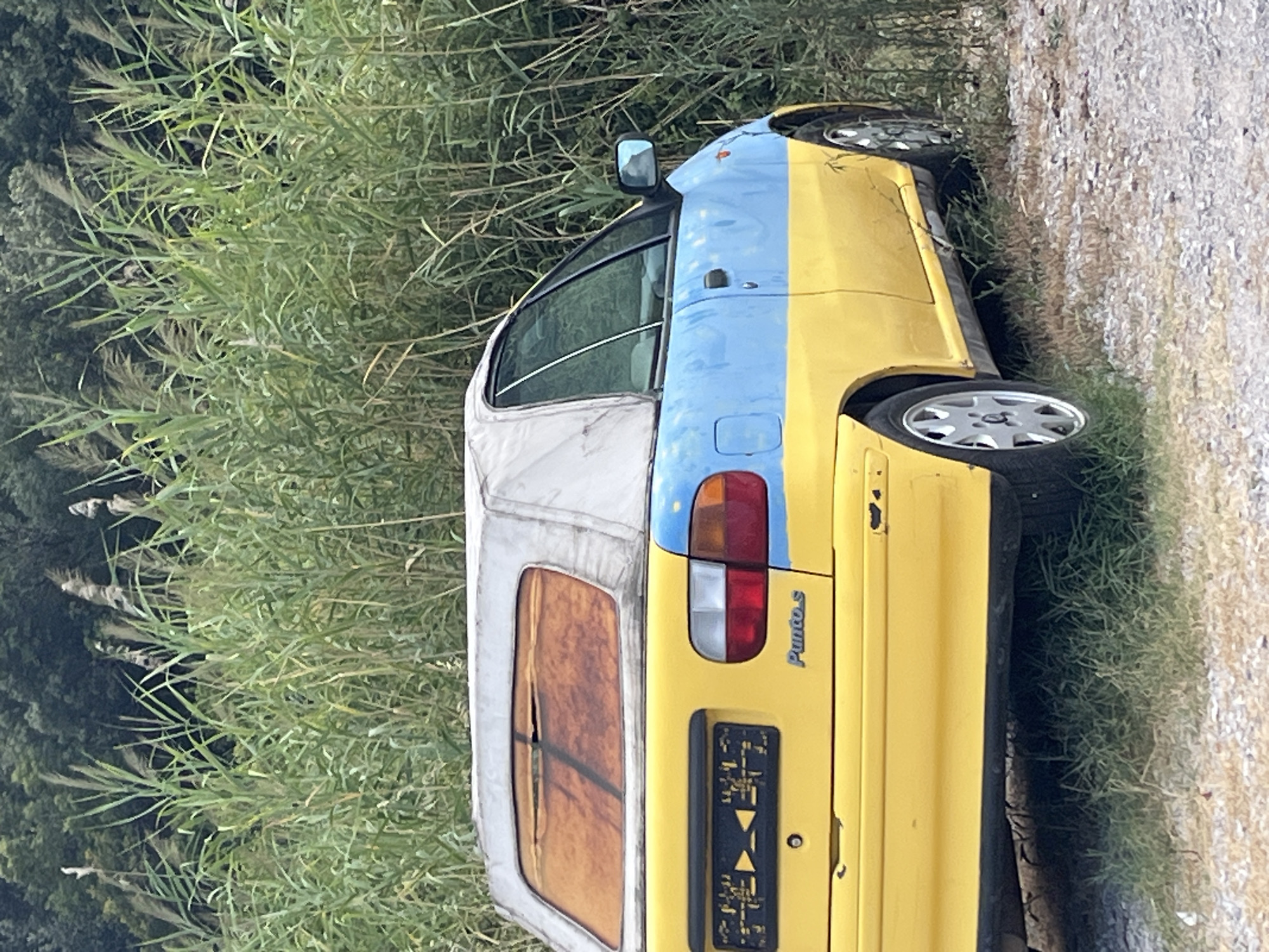 A two-tone yellow and light blue convertible Fiat Punto is parked on a gravel and grassy area in Prijevor, Montenegro. The car is facing right and is partially obscured by tall green reeds. The convertible top is white and appears worn, with a torn plastic rear window. The license plate is visible and appears to be a European plate with yellow markings. The car's paintwork shows some signs of wear and tear. The background consists of dense green foliage and trees, suggesting a rural or semi-rural setting. There are no people visible in the image. The lighting suggests it is daytime.