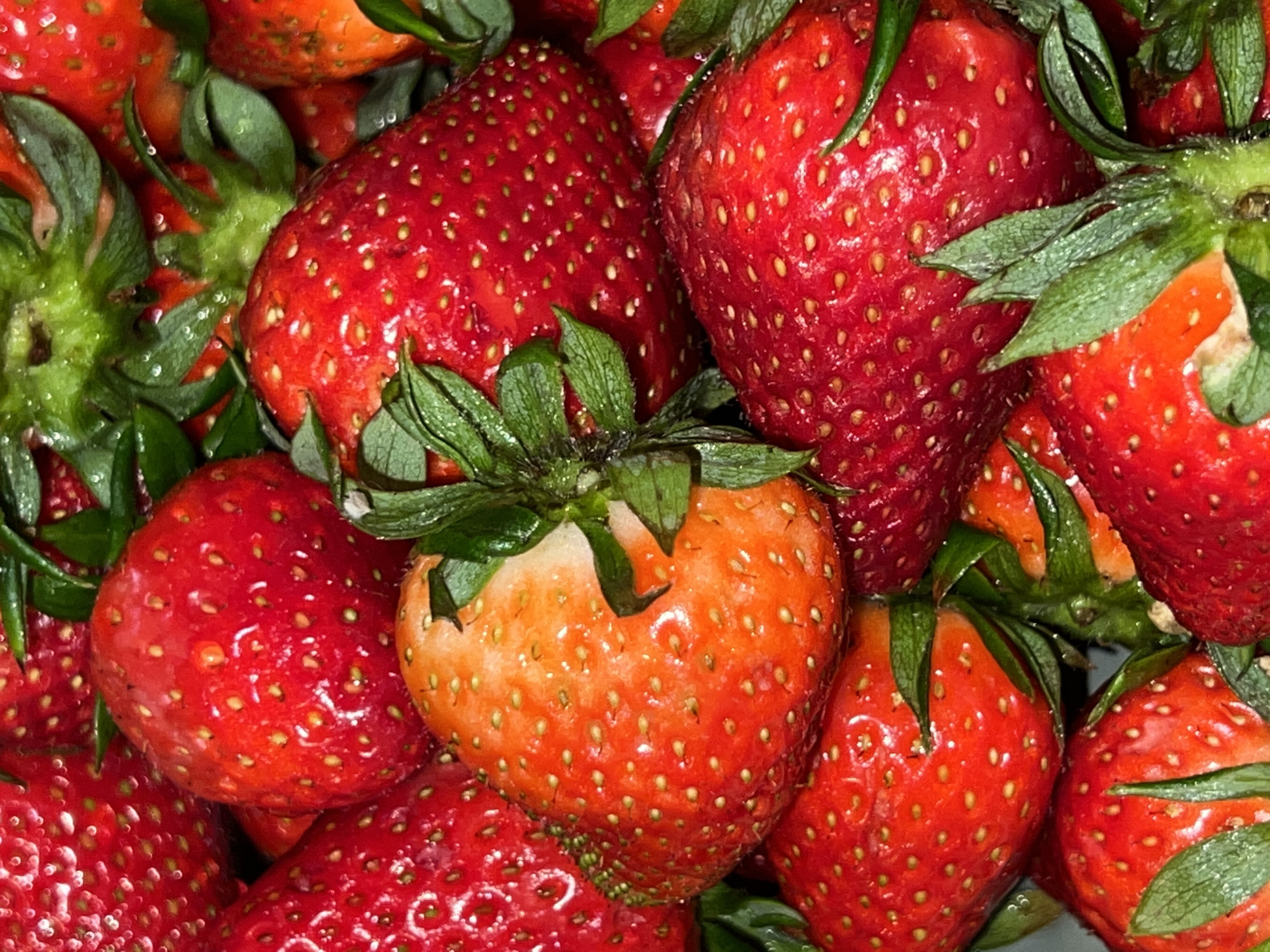 A close-up shot reveals a pile of fresh strawberries. The strawberries range in color from light orange-red to deep red, and they appear to be wet. Each berry is covered with small seeds. Attached to each berry are green leafy stems. The location is unknown, and there is no information about Belgrade, Serbia in the provided image.