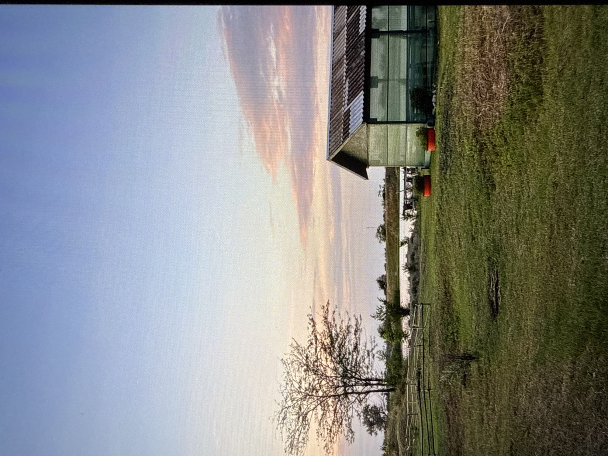 This is a landscape photograph of a rural area at dusk, featuring a greenhouse or shed, a body of water, trees, and a fence. The sky is a gradient of light blue with soft pink and orange clouds, suggesting a sunset. In the foreground, there is a grassy field with some dry patches. A wooden fence runs horizontally across the middle ground. To the left, a bare tree with intricate branches stands prominently. In the middle ground, a body of water reflects the sky. To the right, a green-sided structure with a corrugated roof and transparent panels is visible. Two red planters are placed near the structure. The overall impression is one of tranquility and natural beauty. This scene does not appear to be located in the city of Mykolaiv, Ukraine, as it depicts a rural setting inconsistent with an urban environment.