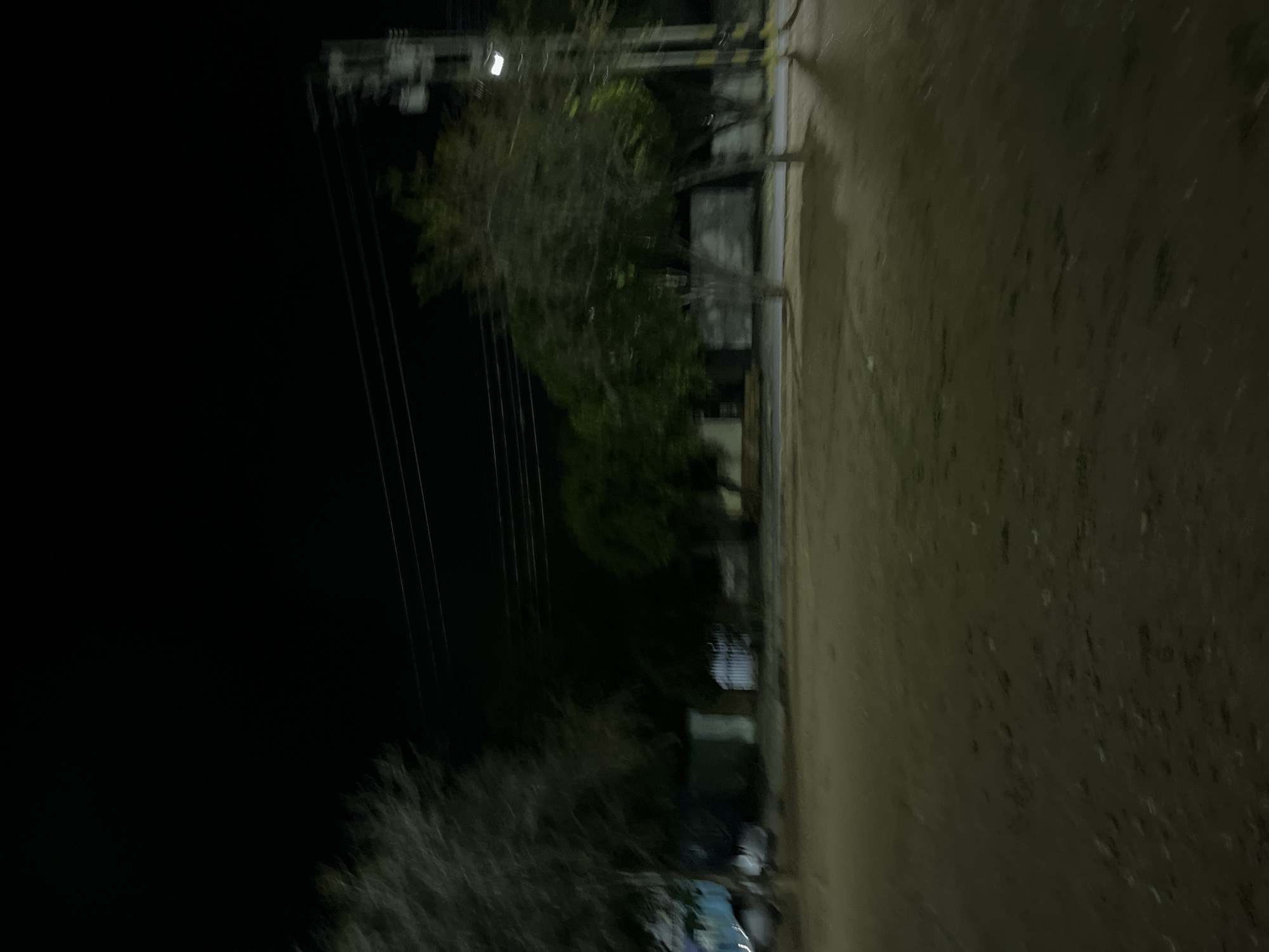 This image depicts an outdoor scene at night, with a dark sky dominating the upper portion. In the foreground, a dimly lit, sandy or dirt-covered ground stretches out. A row of trees is visible, some appearing bare-branched and others with foliage, lining a street or pathway. Beyond the trees, there are low-lying structures, possibly buildings or walls, and what appears to be a gated entrance. A utility pole with power lines and a street light is present on the right side of the image. The scene is blurred, suggesting motion or a long exposure time, which lends a somewhat abstract quality to the details. The overall impression is that of a quiet, possibly residential or semi-urban area at night. Without specific landmarks or context, it's impossible to definitively place this image in Santa Ana, Venezuela.