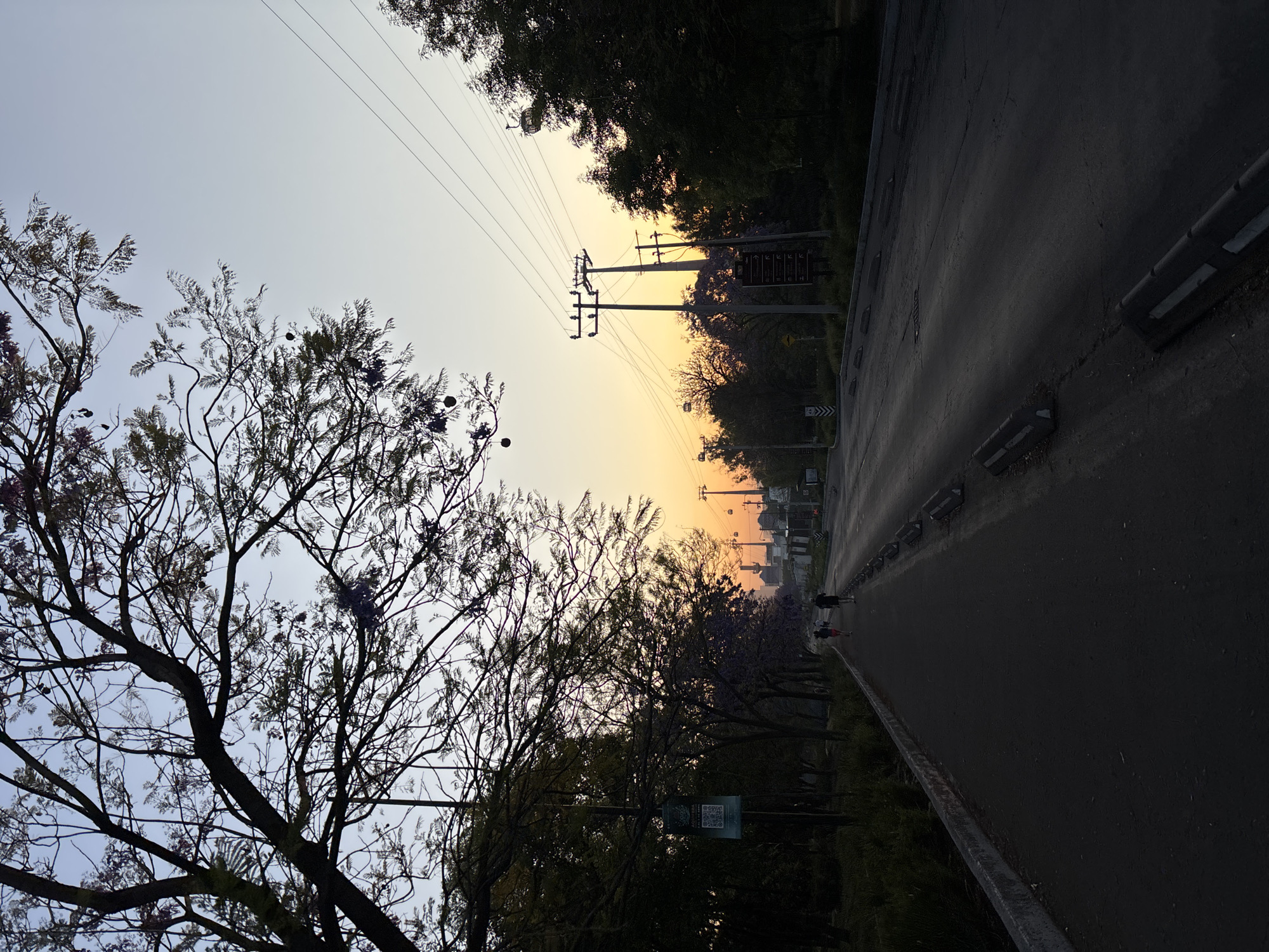 The image depicts an urban landscape at dusk, with a road extending into the distance. Overhead power lines stretch between utility poles, bisecting a sky transitioning from blue to orange. A large tree with bare branches and sparse purple blossoms is prominent on the left. The road surface is dark, reflecting minimal light, and bordered by a low guardrail. In the distance, figures appear to be walking along the road. The surrounding environment consists of trees and other vegetation, creating a partially obscured view of buildings further away. A sign with a QR code is visible on a pole along the roadside.