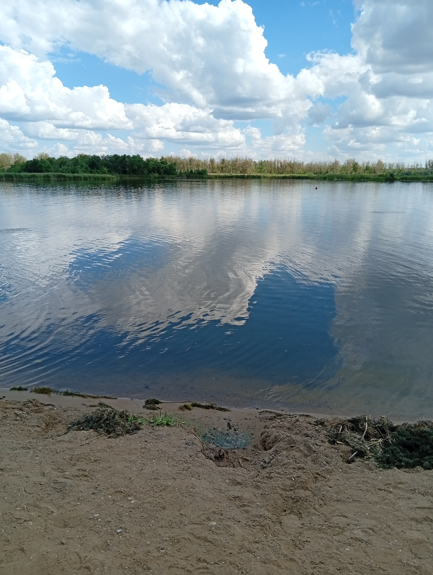 A wide, calm river flows horizontally across the frame. The water reflects the bright blue sky, which is filled with fluffy white clouds. A dense line of green trees and bushes forms the opposite bank of the river, with sparser, bare trees further in the distance. The foreground is a sandy beach with some dried plant debris and a small mound of dark green seaweed or algae. The scene is tranquil and depicts a natural landscape. This location is in the Michurinsky Rural District, Kazakhstan.