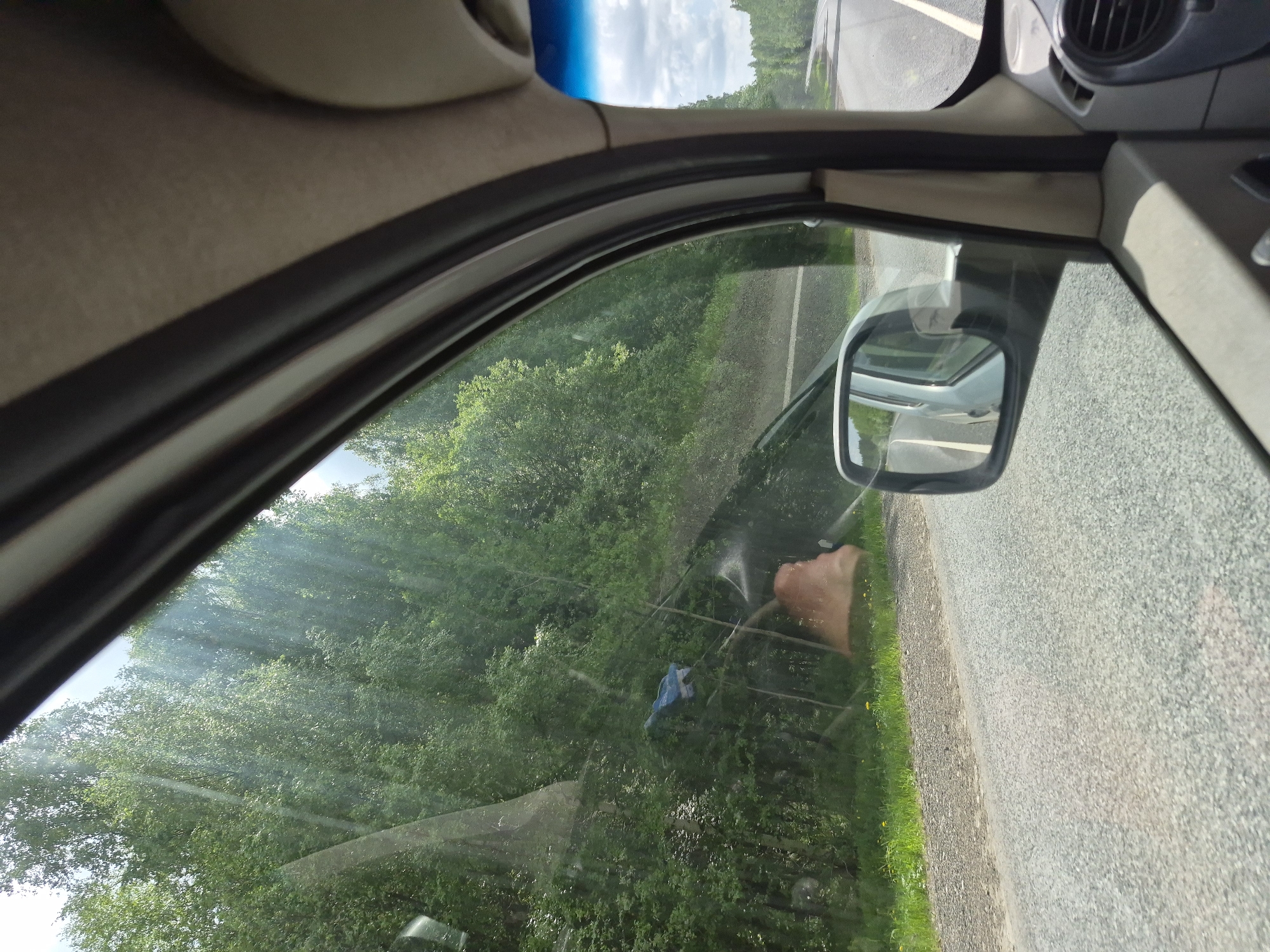 The image shows a view from inside a car, looking out of the passenger side window. The car is traveling on a paved road. Lush green foliage is visible beyond the road, and a broken tree is on the ground. A blue object is tangled within the trees. The side mirror is partially visible, reflecting the road and some of the foliage. The image appears to have been taken near Chernovskoye, Russia.