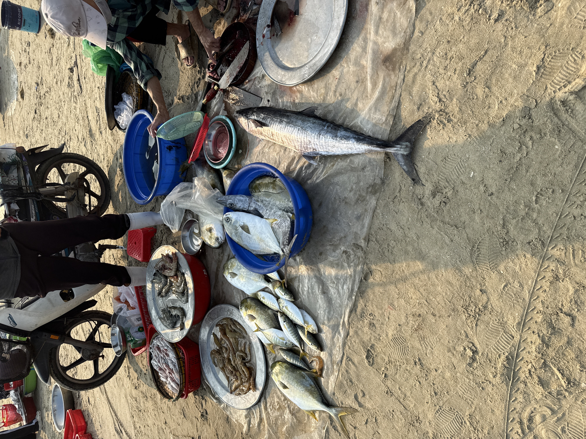 On a sandy beach in Đà Nẵng, Vietnam, an outdoor fish market is in progress. A man wearing a white cap and plaid shirt is cutting up a large fish, possibly a mackerel. There are several trays and blue plastic buckets filled with various types of seafood, including different kinds of fish, shrimp, and squid. A motorbike is parked nearby, seemingly used for transportation. The scene is lit by sunlight, casting long shadows on the sand.