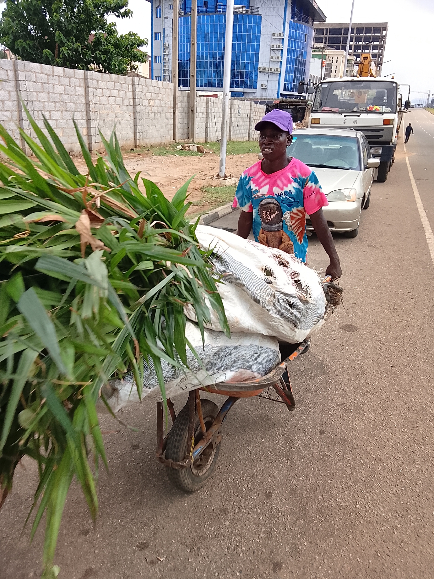 A man wearing a purple cap and a pink, blue, and white t-shirt is walking along an asphalt road, pushing a rusty, orange and blue wheelbarrow loaded with large bundles of wrapped items, and a large quantity of long green leaves. Behind him are a beige sedan car and a white truck. Further in the background is a pedestrian walking away on the road. A modern blue building, a concrete block wall, and vegetation are on the left side of the road. The image appears to have been taken in Abuja, Nigeria.