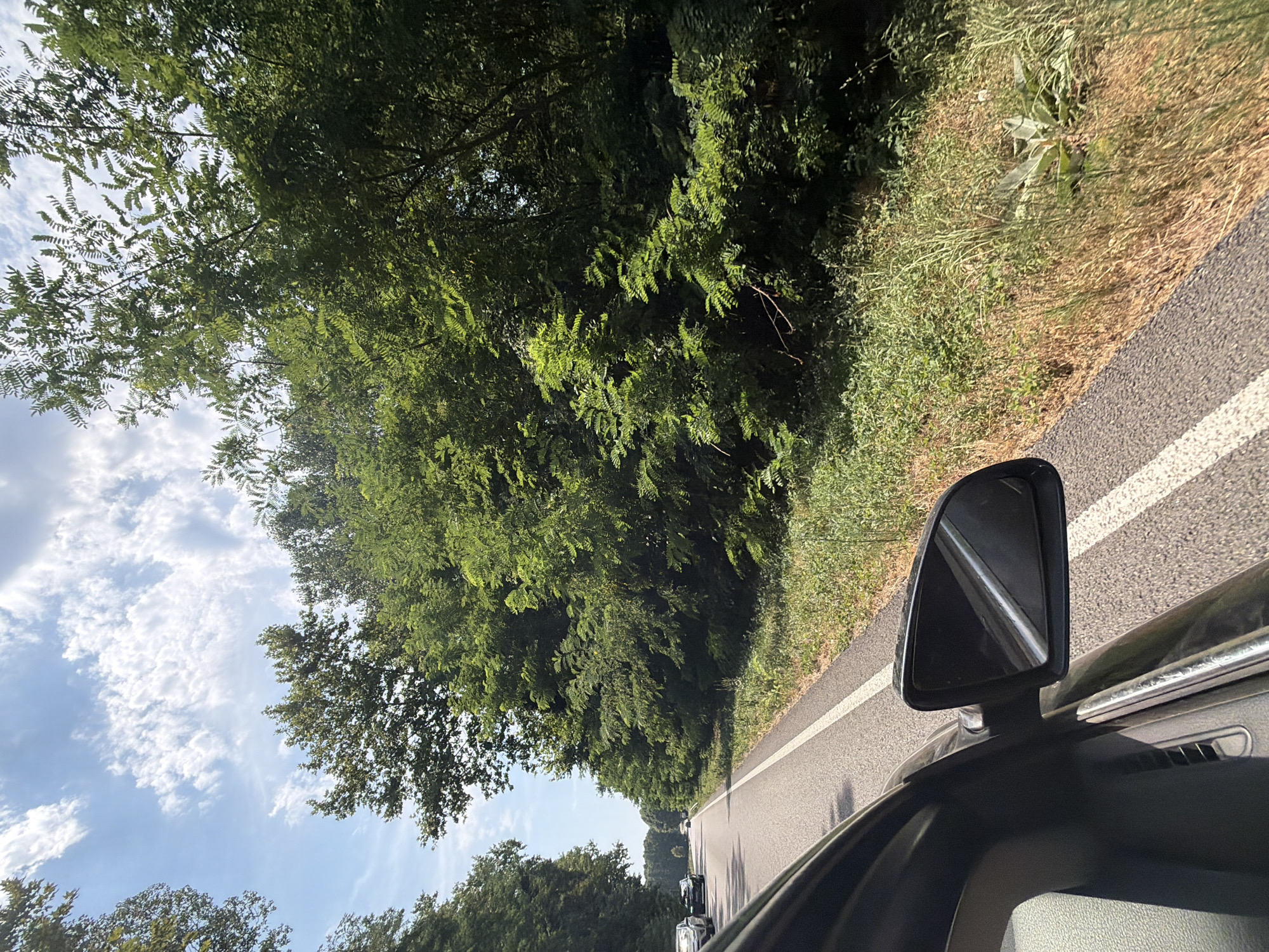 The image depicts a view from the passenger side of a vehicle traveling on a two-lane asphalt road lined with dense green foliage and trees. The road has a white dashed line marking the lane. In the foreground, a black car mirror is visible, reflecting the sky and the road. The sky is blue with scattered white clouds. On the right side of the road, a variety of green plants and dry grass grow along the roadside. In the distance, several cars are visible on the road. The scene suggests a journey through a rural or semi-rural area.