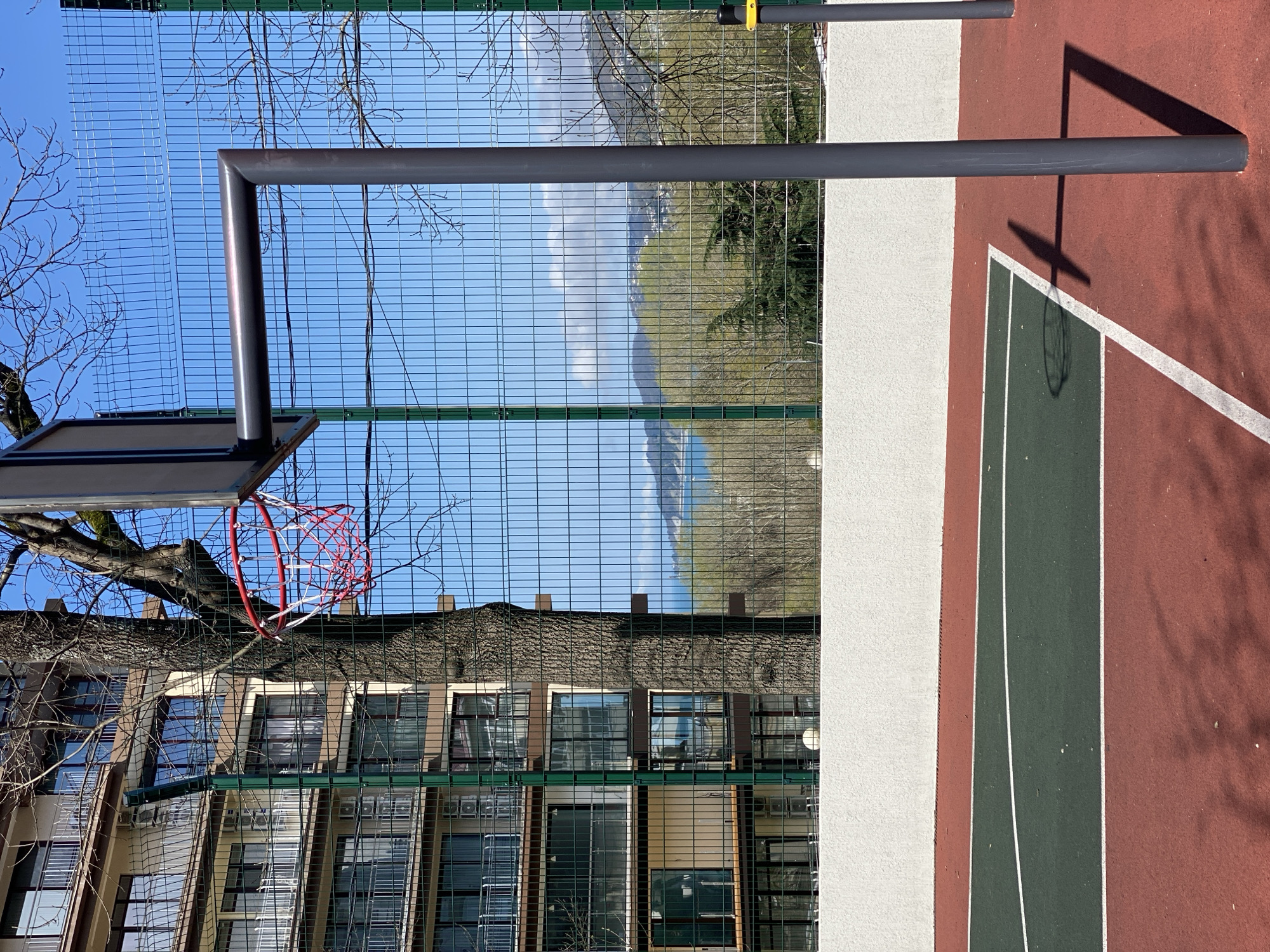 The image depicts a basketball court in Sochi, Russia. The court is bordered by a green metal fence, which partially obscures the view of a multi-story building and distant hills. A basketball hoop with a red and white net is visible, entangled with the branches of a tree. The court surface is marked with red, white, and green painted sections. A metallic pole and its shadow are prominently featured in the foreground. The sky is visible through the fence mesh, appearing blue with some cloud cover.