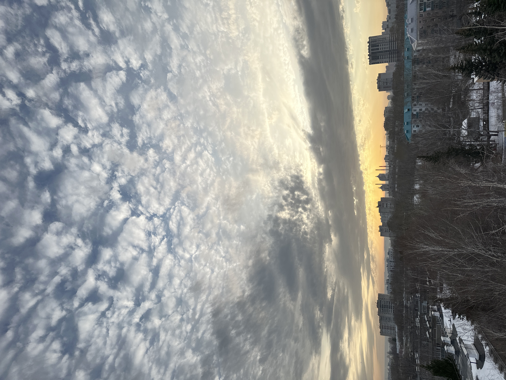 The image depicts a view of Kazan, Russia, under a sky filled with altocumulus clouds during what appears to be either sunrise or sunset. The cloud cover extends across most of the frame, transitioning in color from light gray and white to a golden hue near the horizon.
Below the clouds, the urban landscape features residential buildings of varying heights, common to a city setting. Bare trees, indicating a season of cold weather, are scattered among the buildings, and patches of snow are visible on the ground, further implying a winter or early spring season. A faint silhouette of what might be industrial chimneys or other urban structures can be seen in the distance near the horizon line. The composition is from a high vantage point, possibly from an elevated position within the city. No people or active interactions are directly observable.