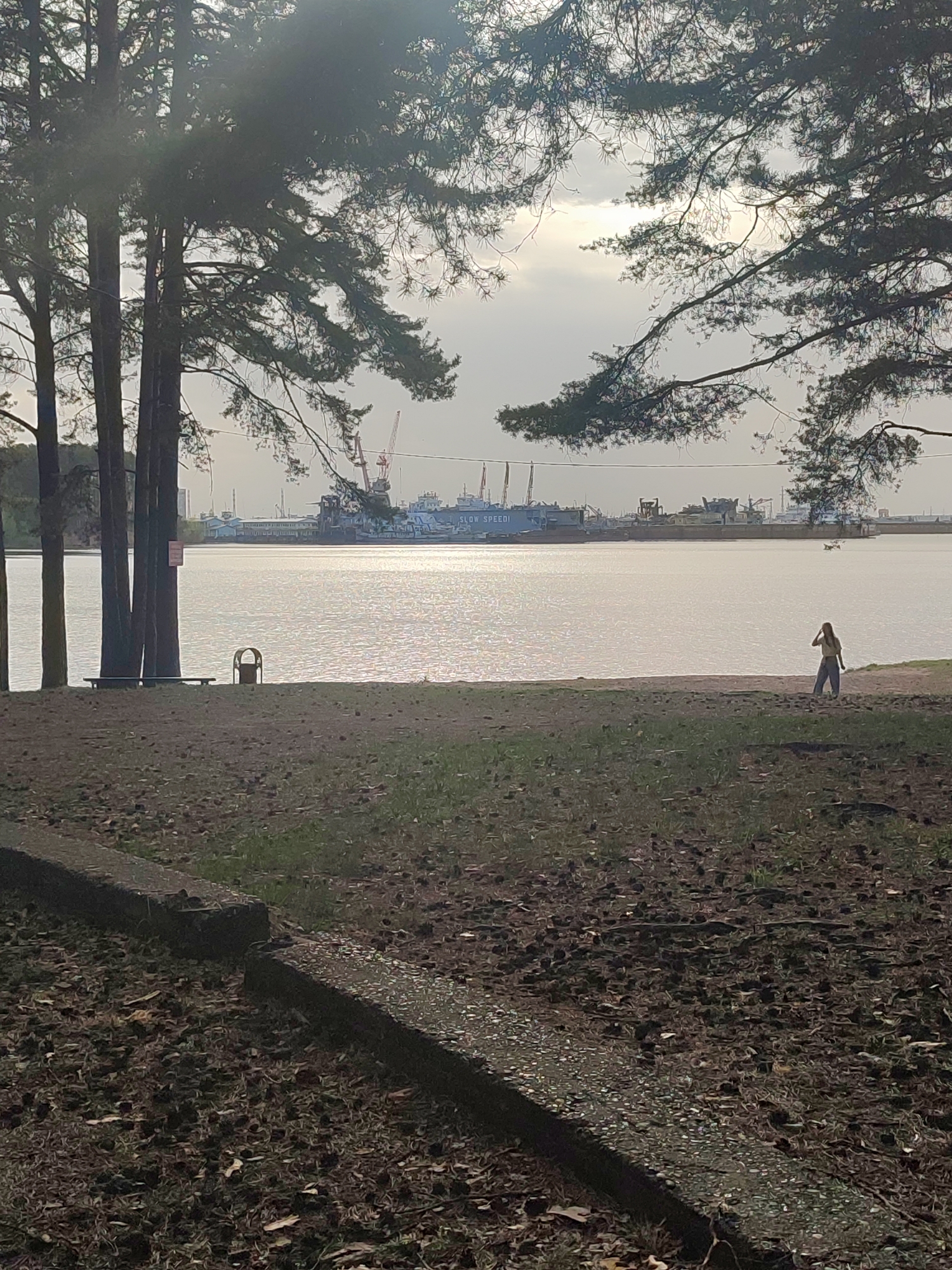 The photograph presents an outdoor scene situated in Unknown, Unknown, where a body of water, likely a lake or river, extends into the distance, bordered by a shoreline. The foreground exhibits a terrestrial area covered with vegetation, interspersed with fallen leaves and pine needles, and a concrete barrier runs along the lower edge of the frame. Several trees with dense foliage are positioned to the left, creating a natural frame. On the right, a person stands near the water's edge. In the background, beyond the water, industrial structures and cranes are visible, indicating the presence of a port or industrial zone. The sky is overcast, casting soft light over the scene. The overall ambiance suggests a tranquil location contrasted with industrial activity in the distance.