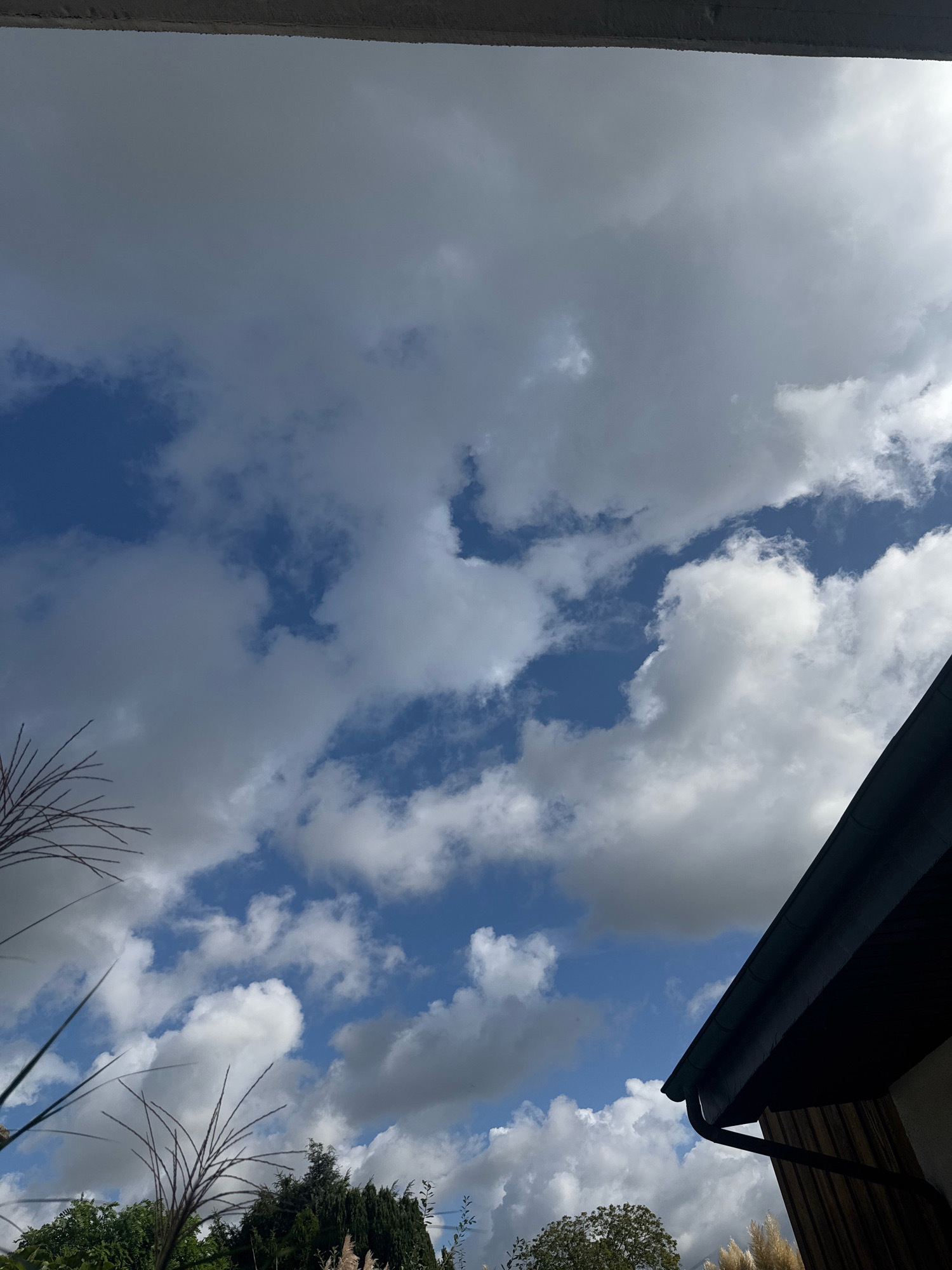 This is an outdoor, low-angle shot of a cloudy sky, with the roofline of a building and some greenery visible in the lower portion of the frame. The sky is a mix of deep blue and white and gray clouds. In the foreground, the dark, angled roof of a building is visible on the right, with a gutter and downspout. To the left, there is a blurred view of some tall, thin grasses or reeds, and further down, a line of dark green trees. The building appears to be made of wood siding. The scene is likely in Cleves, Germany, given the context.