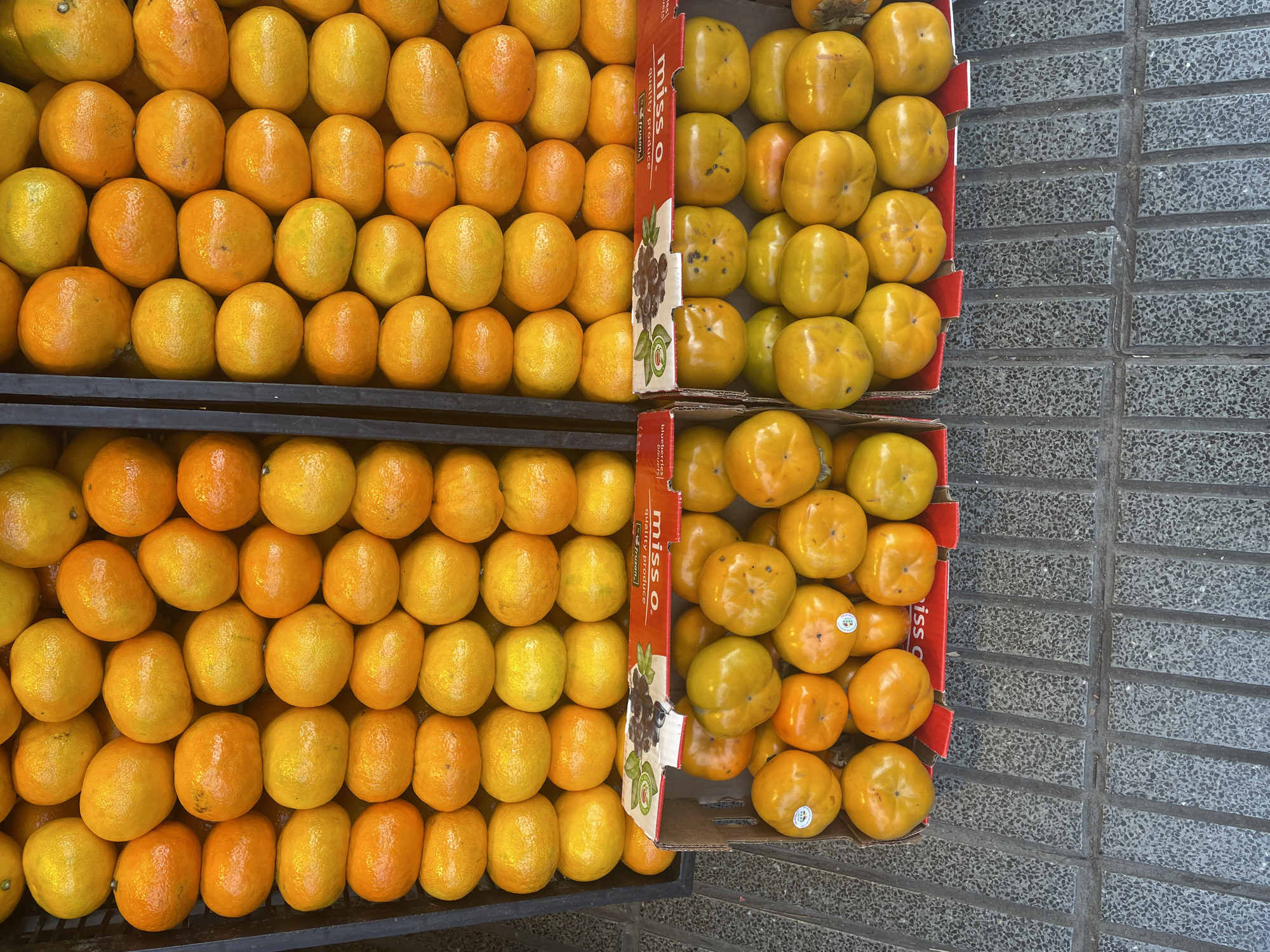 The image displays two shelves containing citrus fruits and persimmons. The two shelves on the left are filled with rows of orange citrus fruits. The two cardboard boxes on the right hold rows of light yellow persimmons. The fruits are displayed on a sidewalk or pathway, consisting of a gray, brick-like surface. The picture was most likely taken in Buenos Aires, Argentina.
