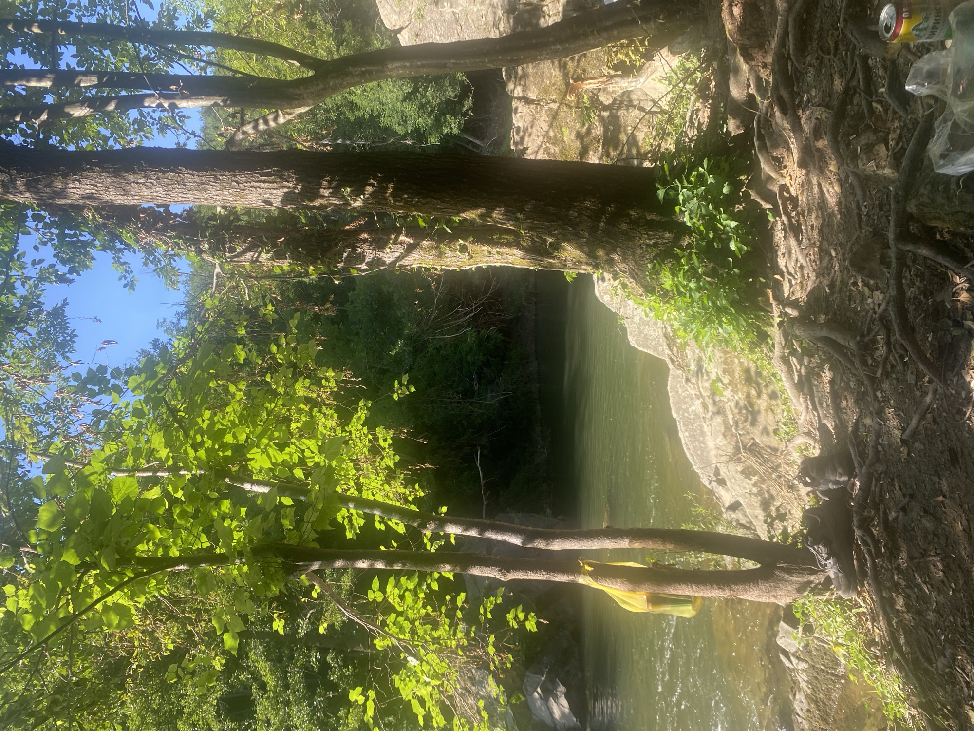 The image depicts a serene natural scene with a river flowing through a lush, green forest. The foreground is occupied by the exposed roots of a large tree, creating a textured and earthy base. Two pairs of shoes are placed on the ground near the tree, suggesting a temporary stop or activity. A yellow plastic bag hangs from a slender tree trunk to the left, adding a splash of color. The river, with its calm, greenish water, occupies the midground, bordered by rocky shores and abundant vegetation. In the background, dense trees form a verdant canopy under a clear blue sky. The overall impression is one of tranquility and natural beauty, hinting at the picturesque landscapes often found in rural areas like Debnevo, Bulgaria, known for its scenic river valleys and forests.