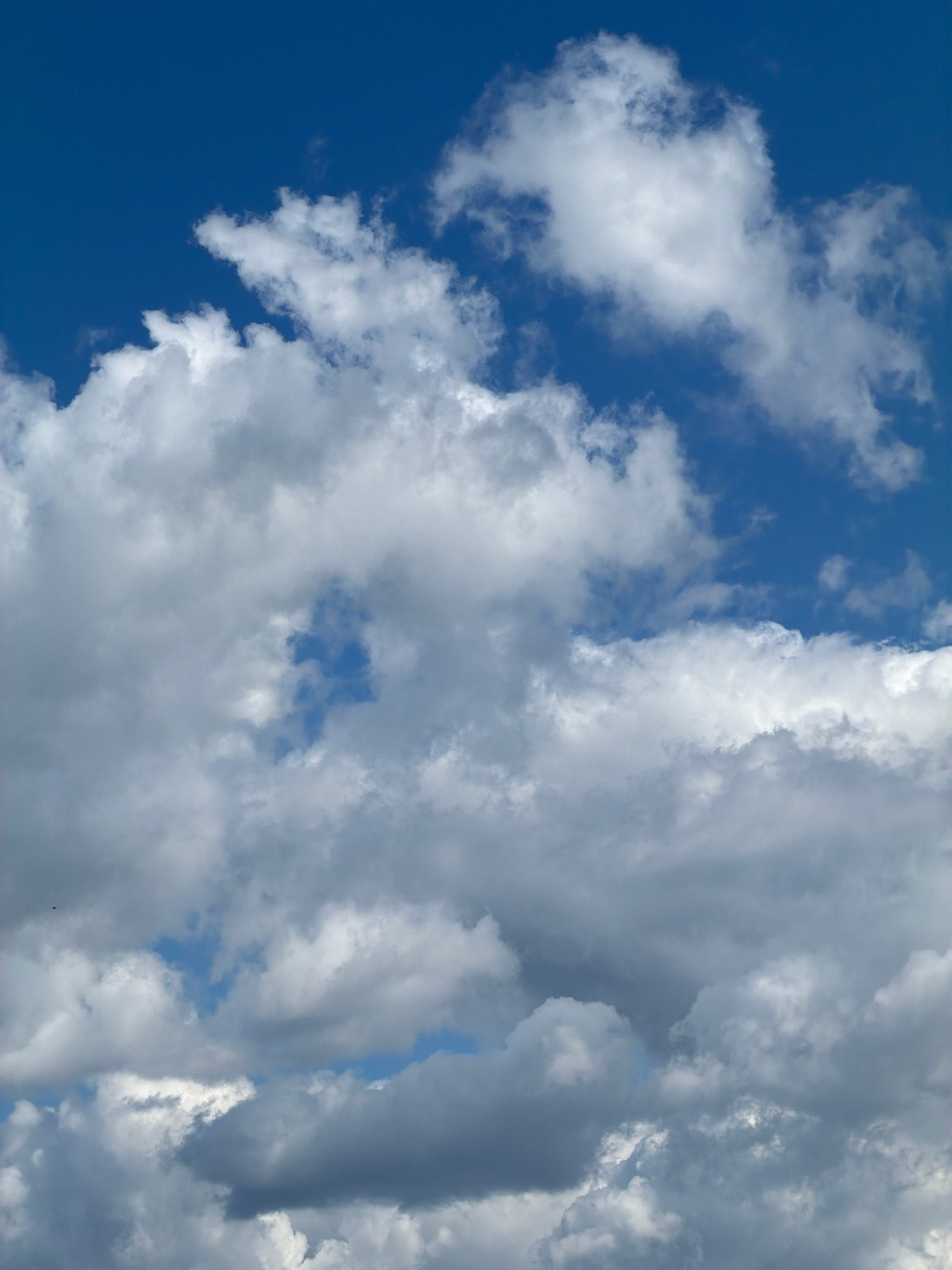 This is a vertical, full-frame photograph of a bright blue sky filled with various types of clouds. The clouds are predominantly white and puffy, with some appearing wispy and others more dense and shadowed, suggesting varying altitudes and thicknesses. In the center of the image, a patch of blue sky is visible through a gap in the clouds. There are no visible human elements or identifiable landmarks to place the image within a specific city or location. The overall impression is one of a dynamic, cloud-filled sky on what appears to be a clear day.