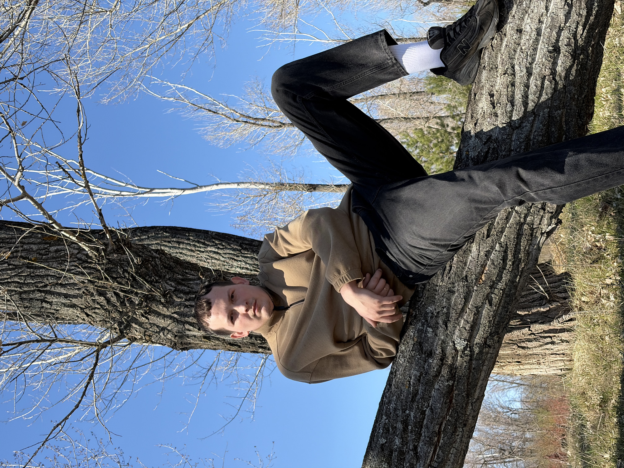 A young man is sitting in a tree in what appears to be a rural or park-like setting. The sky is clear blue with bare tree branches visible in the background. The man is wearing black pants, a beige or light brown hooded sweatshirt, and black sneakers with white socks. He is resting his arms on the tree trunk, looking directly at the camera. The tree is thick with rough bark and appears to be a mature specimen. The ground visible around the base of the tree shows dry grass and some shrubbery. There is no indication of the image being in Noviy, Russia.