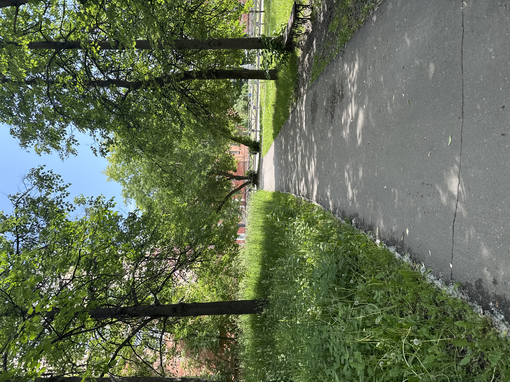 The image depicts a paved pathway winding through a green park-like area with mature trees and lush grass. The pathway is made of asphalt and shows signs of age, with a visible crack running across it. Sunlight filters through the leafy canopies of the trees, casting dappled shadows on the ground. To the left of the pathway, tall grass and vegetation grow abundantly. On the right side, a dark metal bench with decorative legs is visible, positioned on the grass. In the background, a brick building with white-framed windows can be seen through the trees, and a white metal fence runs parallel to the path. The sky above is clear and blue. The overall scene suggests a peaceful, urban green space. The location is identified as Usolye, Russia.