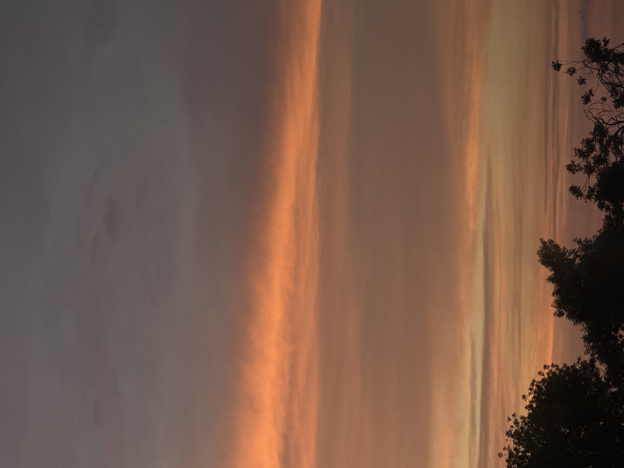 This is a vertical, medium-shot photograph of a sunset over Mikhaylovsk, Russia. The sky dominates the frame, filled with layered clouds that transition from a deep grey at the top to vibrant oranges and soft pinks lower down. A distinct band of bright orange clouds stretches horizontally across the middle of the image, appearing to glow from within. Silhouetted against the colorful sky are the dark forms of trees in the foreground, their branches and foliage creating an uneven line along the bottom of the frame. The image captures a serene and atmospheric moment of twilight.