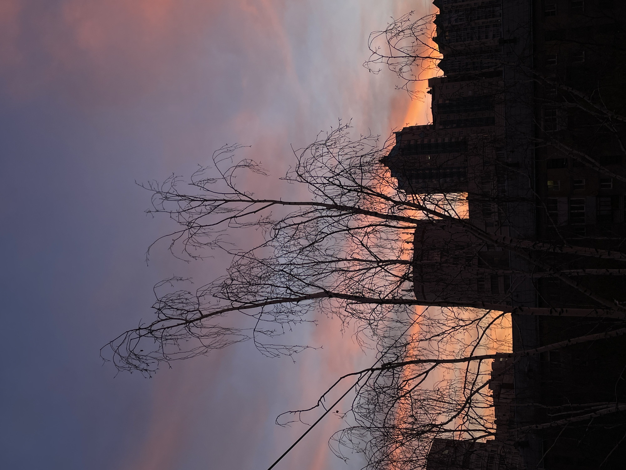 The image presents an urban scene at dusk, likely captured in Yekaterinburg, Russia. The sky is a blend of purple and orange hues, indicating either sunrise or sunset. Silhouetted against the sky are bare tree branches and the outline of a multi-story building. The buildings appear to be residential blocks typical of urban Russian architecture. A power line can be seen among the branches. No people are visible in the scene. The location is probably near the outskirts of the city, or in an urban park area where residential buildings are close to a wooded area.