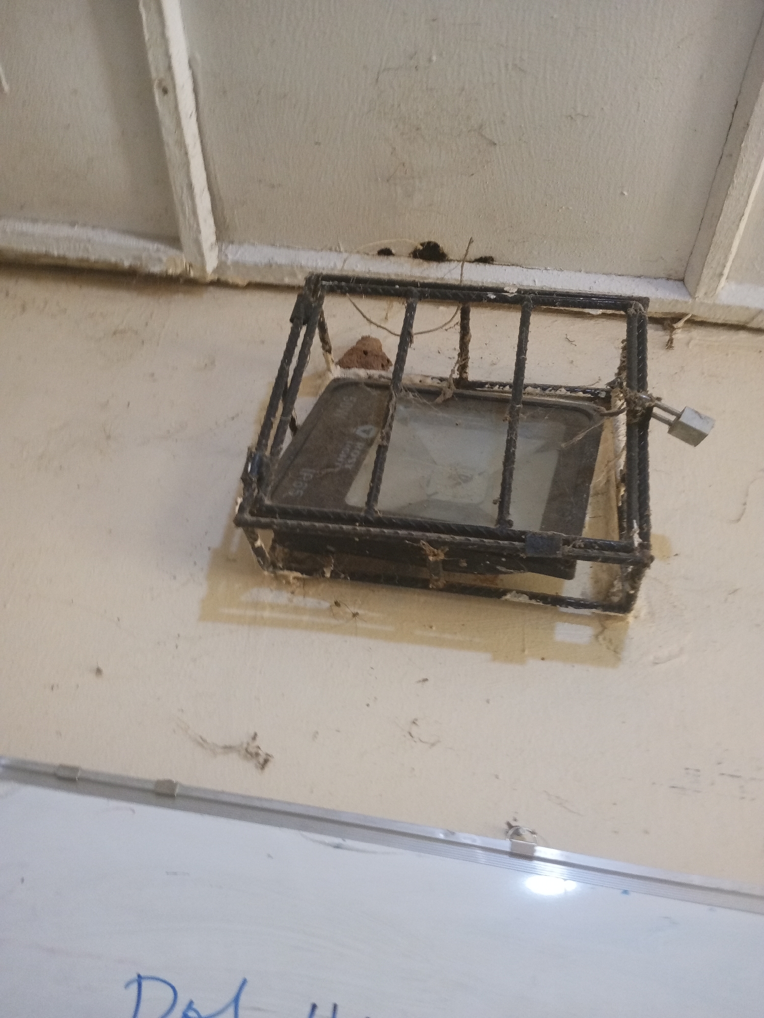 The image shows a security-caged light fixture mounted on a pale, textured wall, possibly in an indoor setting given the overhead structure. The light fixture itself appears to be a floodlight, encased in a black metal cage with vertical bars. A silver padlock is attached to the cage, securing it. Cobwebs are visible on the cage and the light, suggesting a period of disuse or a dusty environment.
The wall is stained and appears somewhat worn, with some darker smudges and marks. Above the wall, a white ceiling or overhead structure is visible, with some beams or trim. There is a faint reflection of light on a white surface at the bottom of the frame, which could be a whiteboard or a similar flat surface. Some handwritten text in blue ink is partially visible on this surface, starting with "Dah".
The scene appears to be in Jalingo, Nigeria. There are no people present, and the overall impression is one of neglect or disuse. The lighting is somewhat dim, suggesting it might be indoors or during the daytime in an area with limited natural light. The presence of the padlock on the security cage implies a need for protection or security of the light fixture. The overall mood is unremarkable and utilitarian.