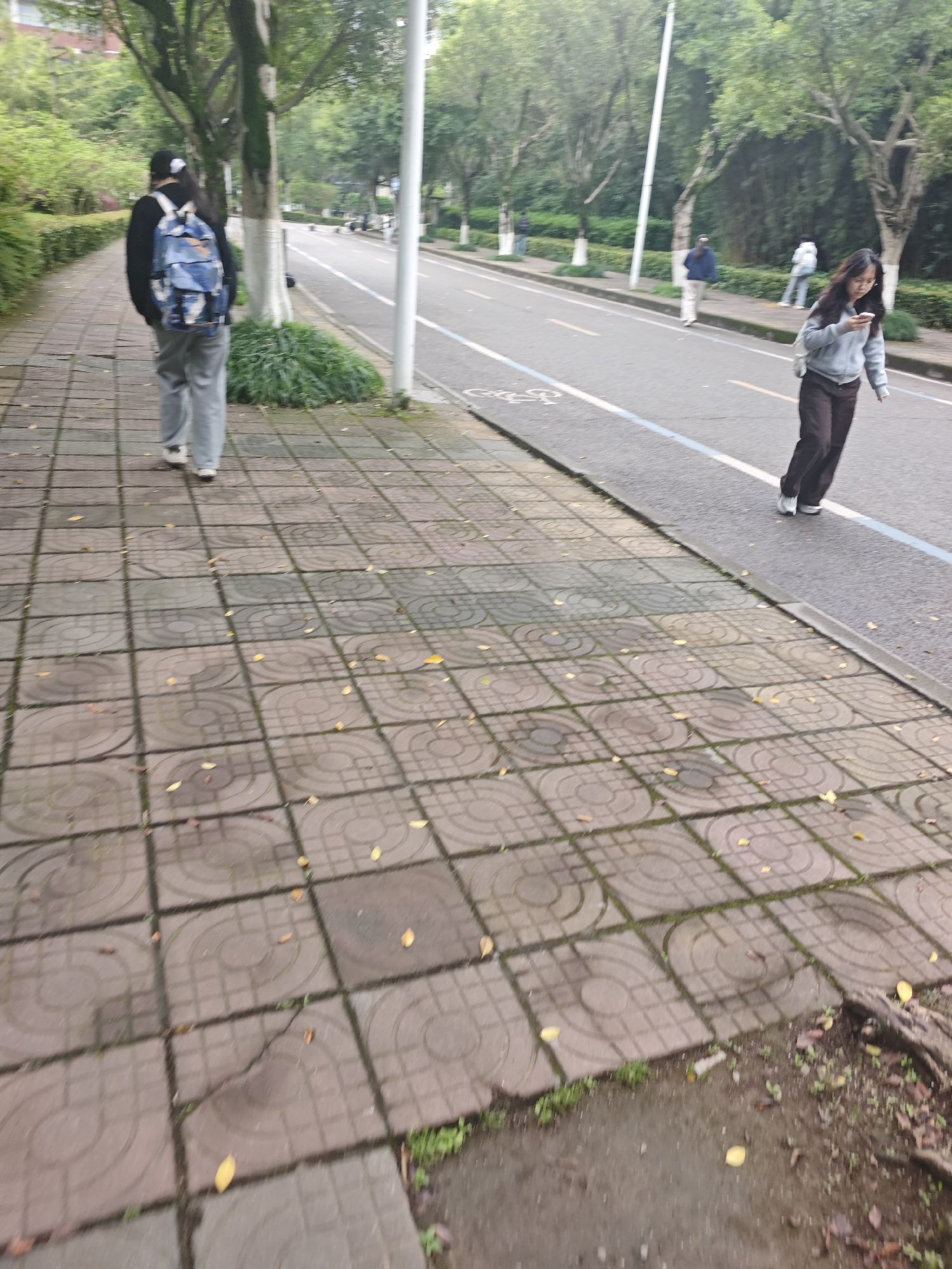 The image, taken in Chongqing High-tech Zone, China, shows a paved sidewalk alongside a road. A person with a backpack walks away from the camera on the sidewalk. Another person walks along the road, looking at a phone. Other pedestrians are visible in the background on the far side of the road. Trees line both sides of the road and sidewalk. Fallen leaves are scattered on the sidewalk. The day appears overcast.