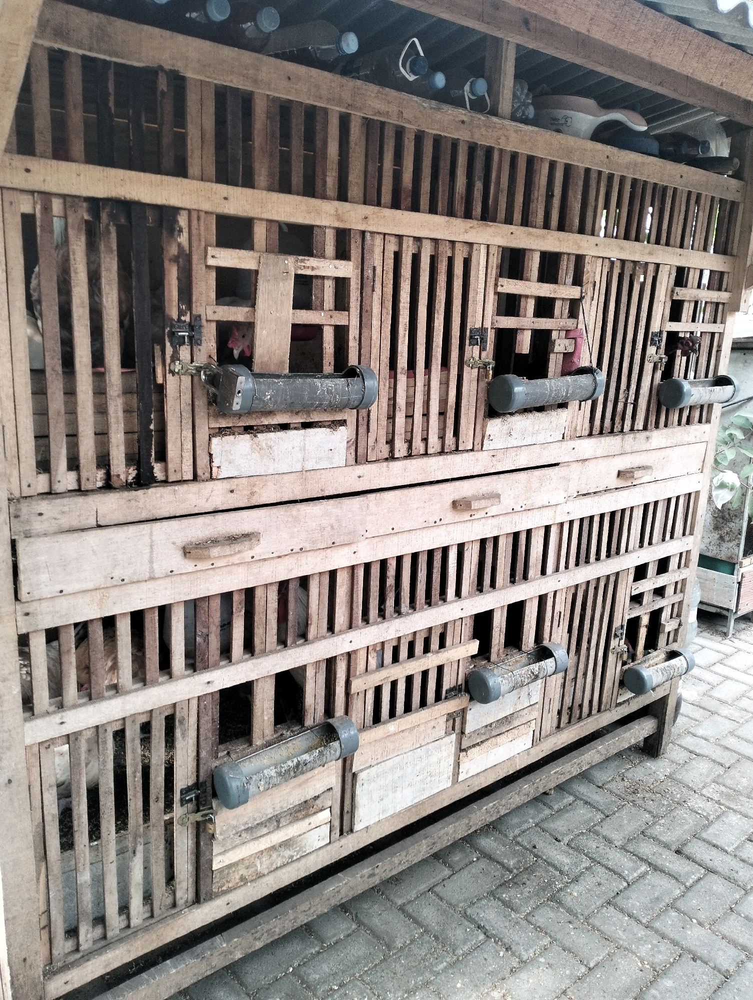 This is a medium shot, eye-level, outdoor photograph of a multi-level wooden chicken coop situated on a paved ground in Karangsoka, Indonesia. The coop is constructed from vertical wooden slats and horizontal wooden planks, forming several compartments. Each compartment appears to have a feeder attached to the exterior, consisting of a grey cylindrical object. The coop is weathered, with visible signs of age and use.
Inside the coop, several chickens are visible, with some in the lower compartments and at least one in an upper compartment. The chickens are of various colors, including white and brown. One chicken in an upper compartment is partially visible, with its head and red comb showing. The environment around the coop is mostly out of focus, but the paved ground is clearly visible, composed of grey interlocking bricks. Some debris, possibly chicken feed or straw, is scattered on the ground and within the coop.
The lighting suggests it is daytime, with natural light illuminating the scene. The overall impression is one of a functional, utilitarian structure for housing poultry.