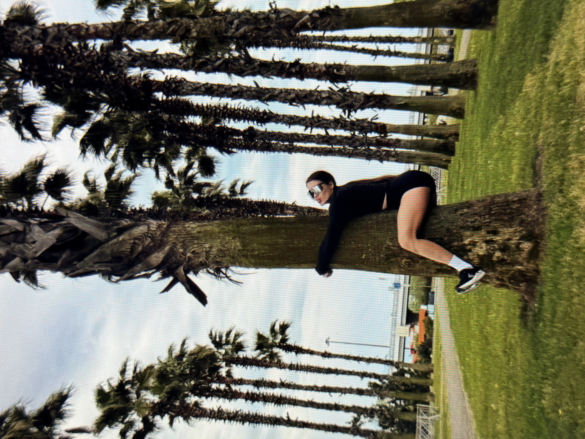 A woman is pictured from the chest down, clinging to a palm tree in a park with a line of palm trees in the background. She is wearing a black long-sleeved shirt, black shorts, white socks, and black sneakers. She is also wearing large silver sunglasses. The woman's body is angled towards the left as she hugs the tree. The park has a green grassy area and a paved path. In the background, there is an overpass, some orange structures, and a cloudy sky. There are no visible landmarks that indicate the location is in Sirius, Russia.