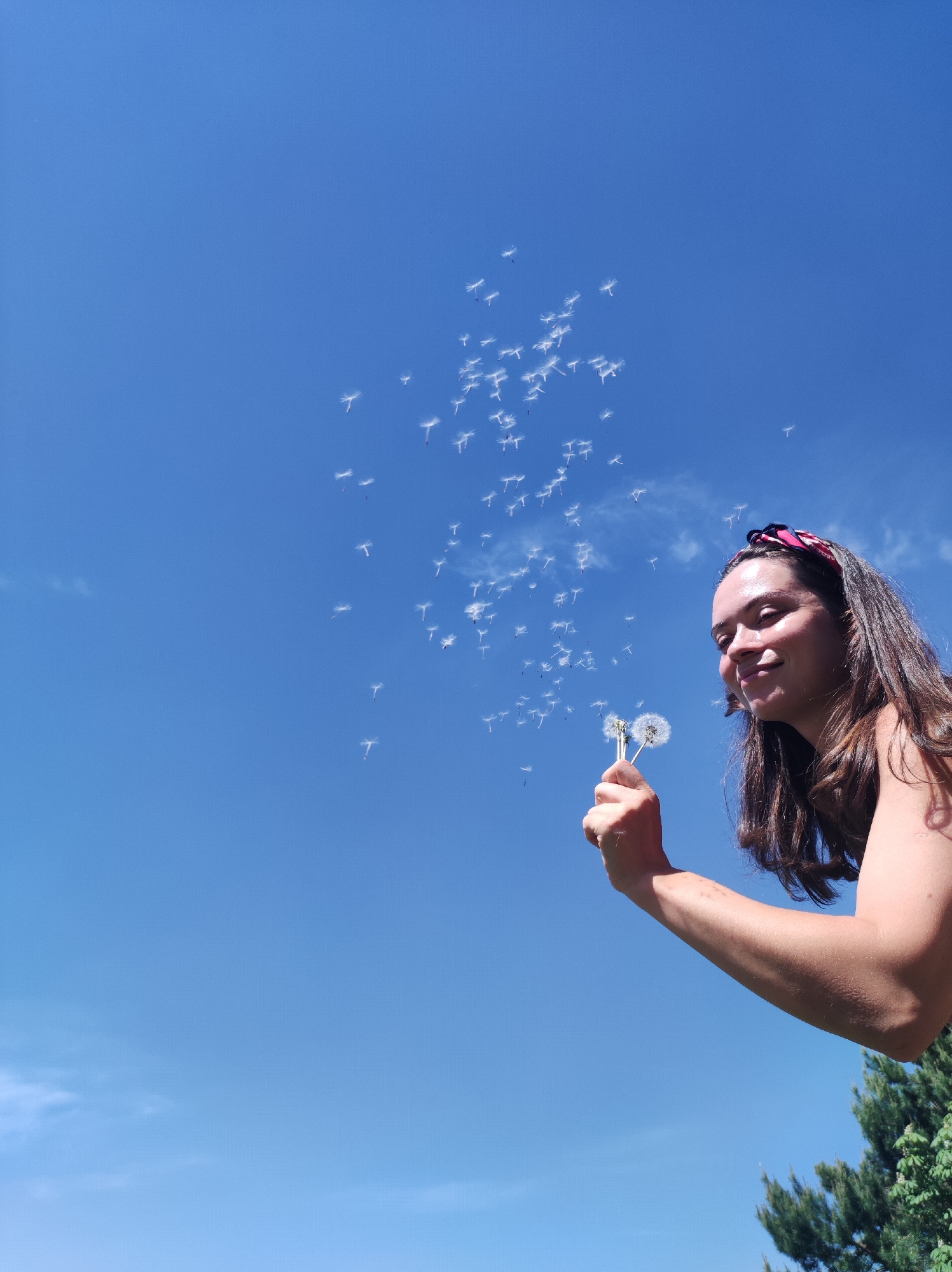 A woman stands outdoors under a clear blue sky, blowing dandelion seeds. She is positioned on the right side of the frame, her arm extended towards the center. She has long brown hair and wears a red headband. In her hand, she holds two dandelions from which seeds are dispersing. The background is a vibrant blue sky with scattered seeds floating around and away from the dandelion heads. The bottom edge of the frame shows treetops of a nearby tree. The city name Фоки, Russia is an incorrect inference.