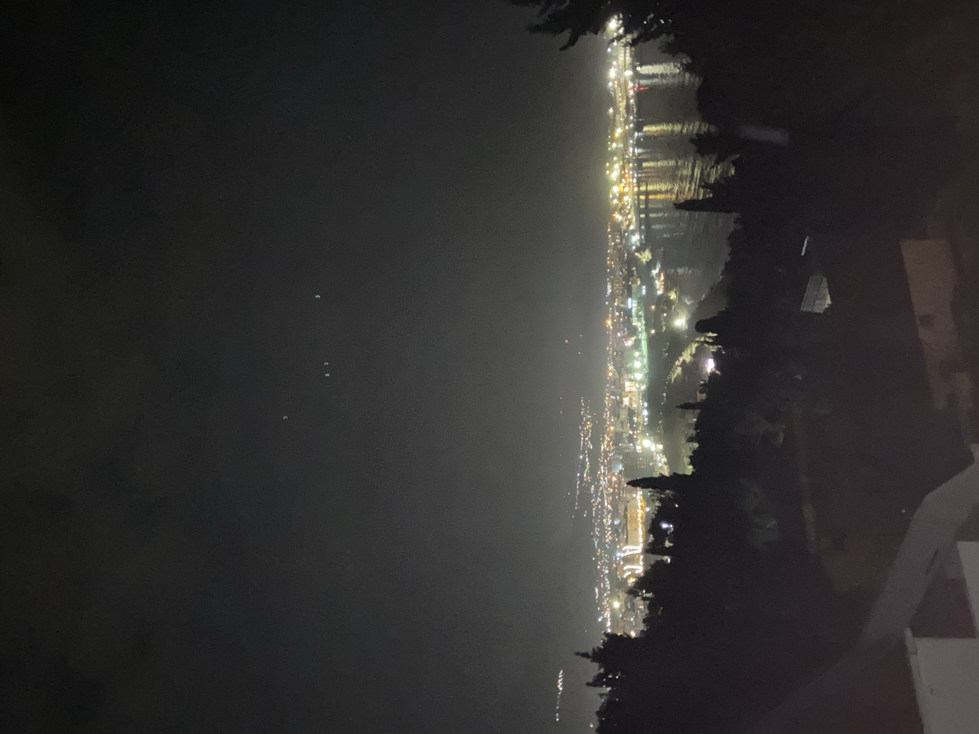 The image shows a nighttime view of a city along a coast. The city is Šušanj, Montenegro. The lights of the city illuminate the shoreline, with less light radiating out over the water. Dark outlines of trees and foliage frame the city lights in the foreground. A portion of a white structure is visible on the lower right. The image is taken from an elevated vantage point overlooking the scene.