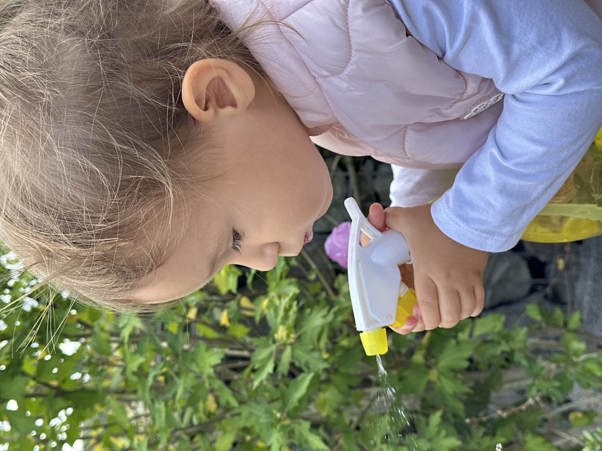 A close-up, profile view of a young child, possibly a toddler, holds a white and yellow spray bottle with water being sprayed out from the nozzle. The child's face is turned to the left, with their mouth pursed as if blowing. They are wearing a light pink puffer vest over a white long-sleeved shirt. The background consists of lush green foliage, suggesting an outdoor setting, possibly a garden or park. There are no visible landmarks indicating a specific location in Wisła, Poland.