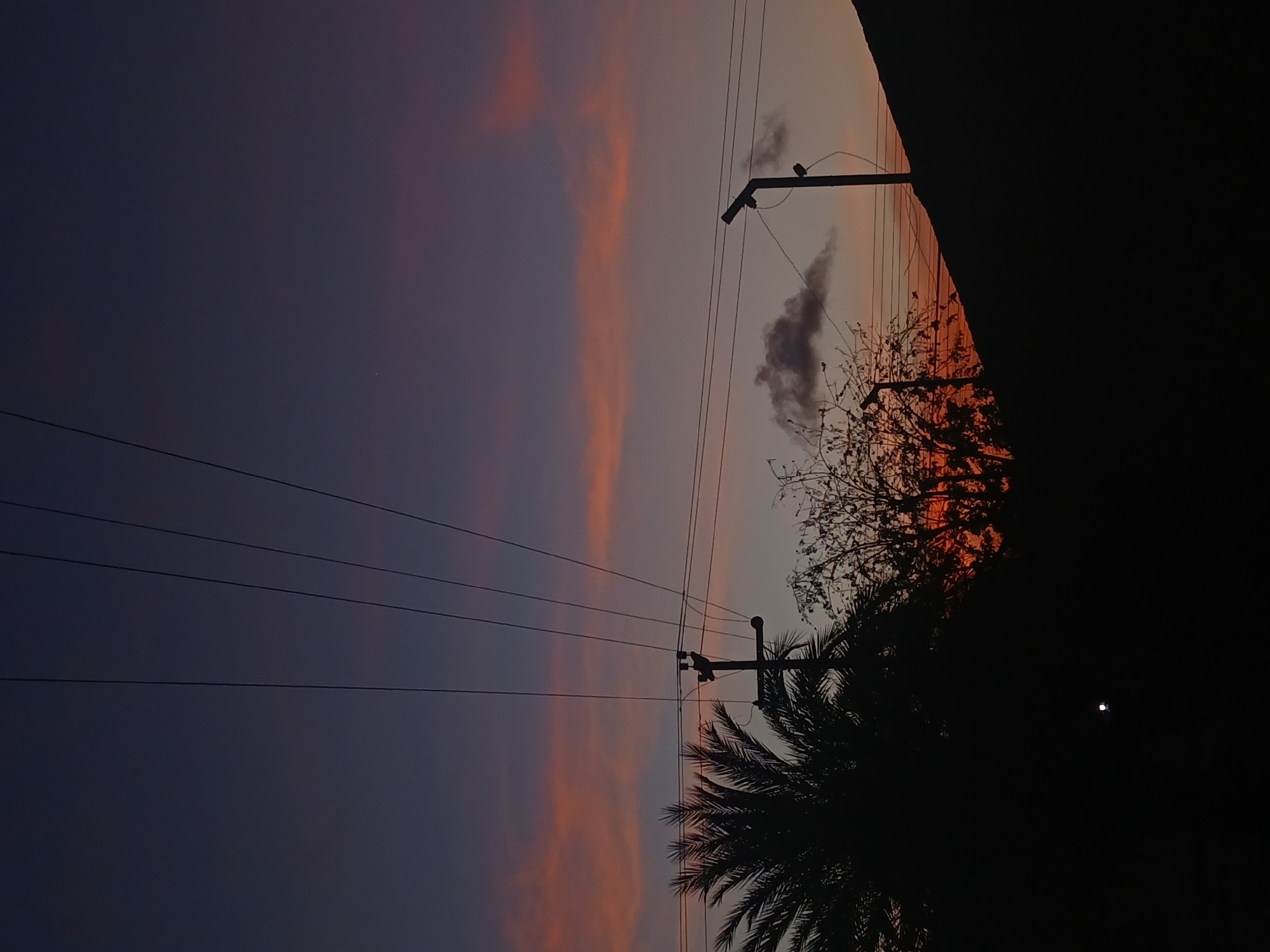 The image displays a tranquil evening scene, likely during twilight or sunset in Juan Griego, Venezuela. The sky dominates the composition, presenting a captivating gradient of colors. On the left, the sky is a deep, muted purple-blue, transitioning to warmer tones of orange, pink, and pale peach towards the right, hinting at the setting sun just beyond the frame. Several elongated, wispy clouds are streaked across the sky, reflecting these vibrant hues, while a smaller, darker grey cloud is visible near the center.
Silhouetted against the colorful backdrop are various elements of both natural and urban infrastructure. Multiple utility poles, laden with numerous power or telephone lines, traverse the image horizontally, adding linear depth to the scene. A small bird is discernible, perched on one of these poles in the mid-right section.
Towards the bottom and right side of the frame, dark silhouettes of tropical vegetation are prominent. A distinctive palm tree with its characteristic fronds occupies the lower right, while another tree with more delicate, possibly bare branches, is visible further up, its outline catching the remaining light. A dark, jagged silhouette on the far right edge of the image suggests a building, a hill, or a distant structure. A very faint, small bright dot, possibly a star or planet, can be observed in the darker upper-left portion of the sky. The overall atmosphere evokes a sense of peace and the quiet conclusion of the day. No visible text is present in the image.