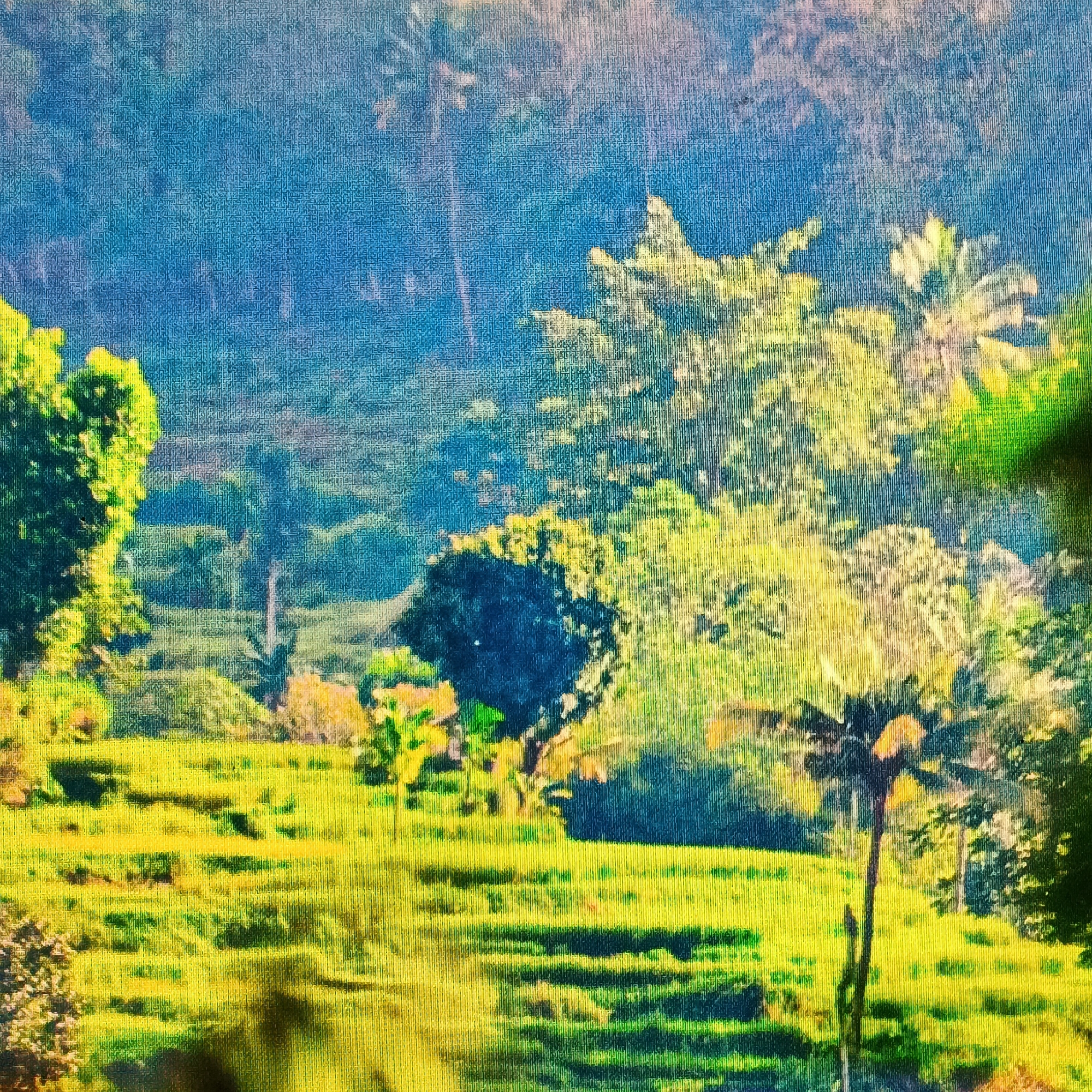 The image depicts a vibrant, terraced landscape with lush green vegetation and tall trees. The terraces, likely rice paddies, are bathed in a golden light, suggesting either sunrise or sunset. The background is dominated by a dense forest, with shades of blue and green blending together. Several palm trees are visible throughout the scene, some with distinct fronds. The overall impression is one of natural beauty and tranquility. The image is reminiscent of the picturesque scenery found in the rural areas surrounding Ende, Indonesia, particularly the lush valleys and hillsides often used for agriculture.