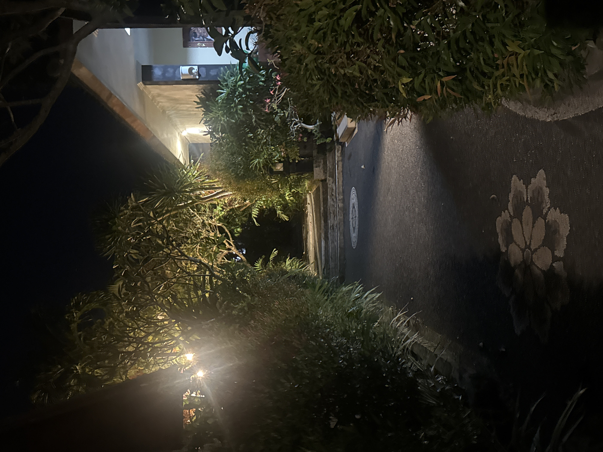 At night in Ungasan, Indonesia, a dimly lit walkway is framed by lush greenery. The path, made of dark asphalt, features a decorative floral pattern in a lighter shade. Light emanates from a building in the background, partially obscured by the foliage. A faint glow suggests artificial lighting amongst the plants. The scene presents an outdoor view of a residential or garden space.