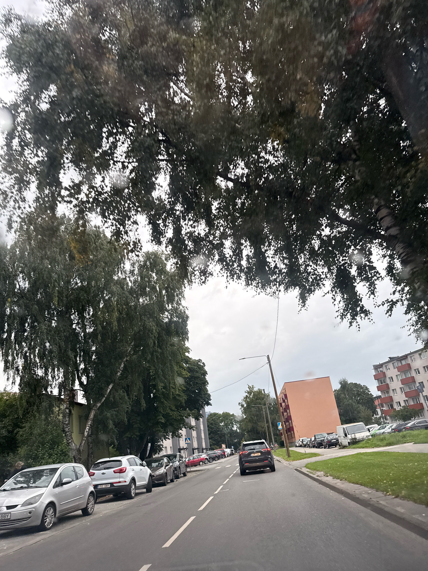 A low-angle, eye-level shot captures a street scene in Tallinn, Estonia, on a cloudy day. The foreground is dominated by a gray asphalt road with white lane markings. On the left side of the road, several cars are parked along the curb, including a silver hatchback and a white SUV. A tall, slender birch tree with white bark stands between the parked cars and a building. Overhead, a canopy of green leaves from large trees partially obscures the sky.
Further down the street, more cars are parked, and buildings line the right side of the road. One building is a multi-story residential complex with a light-colored facade and red balconies. Across the street, a distinctive peach-colored building with an unusual tilted structure stands out. A white van and several other vehicles are parked on a grassy area in front of this building. The sky is overcast, with visible rain drops on the camera lens, suggesting recent or ongoing precipitation. The overall impression is that of a residential area in a European city, likely during a temperate season given the foliage.