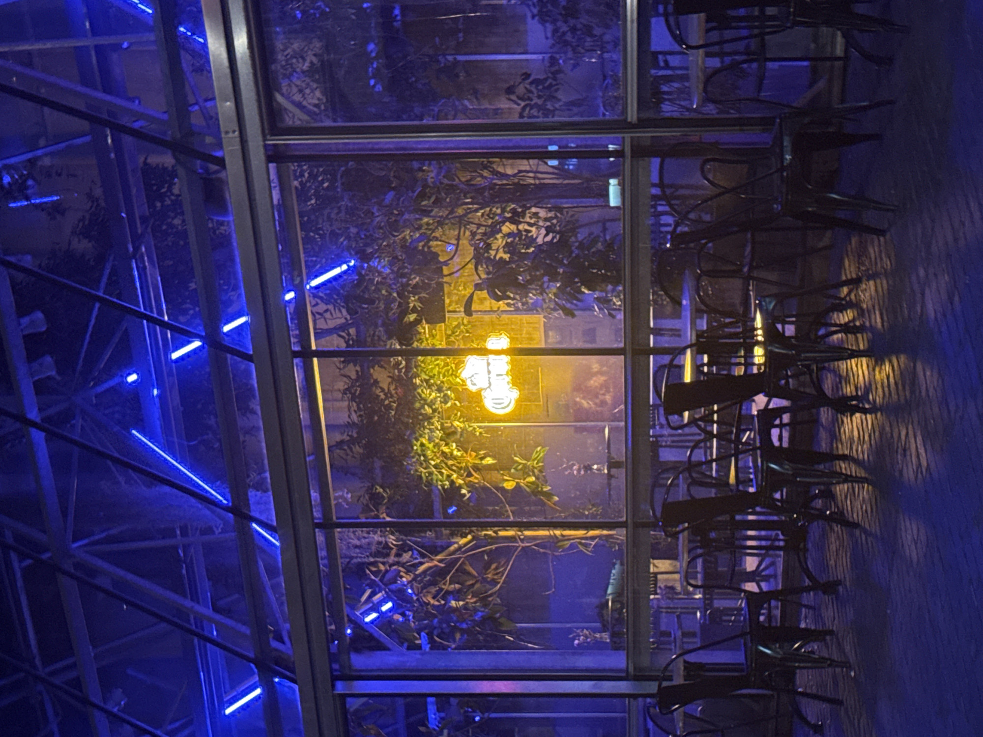 The image depicts the exterior of a cafe or restaurant in Ghent, Belgium, at night. The building features a modern glass and metal structure, possibly a conservatory or greenhouse-like extension. Blue neon lights illuminate the roof structure and the exterior of the building, casting a vibrant blue glow on the scene. Through the glass facade, a neon sign, likely advertising "Corona," is visible inside, emitting a warm yellow light. Several trees and plants are situated inside the building, adding a touch of nature to the urban setting. Outside, a patio area with brick paving is visible, with several empty metal chairs and tables arranged neatly. The lighting creates a dramatic and atmospheric effect, with strong shadows cast by the chairs and tables on the ground. The overall impression is one of a stylish and contemporary establishment, perhaps a popular spot for evening dining or drinks.