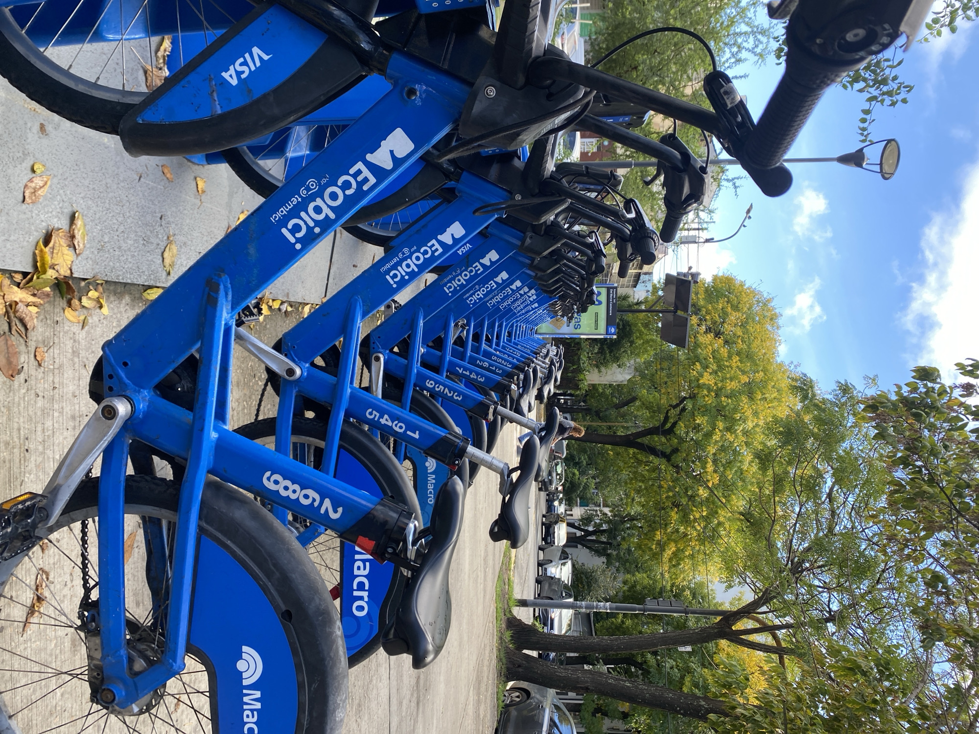 A long row of bright blue rental bicycles, part of the "Ecobici" bike-sharing system, dominates the scene, neatly parked along a paved sidewalk. The bicycles are viewed from a low angle, highlighting their uniform design and branding. Each bike features the "Ecobici" logo prominently on its frame, with additional text "por tembici" indicating its operator. "VISA" branding is visible on the front fenders, and the wheels display the "Macro" logo, likely referencing Banco Macro, a sponsor of the system. Several bikes have identification numbers on their frames, such as "3162," "2689," and "1945."
The setting is an urban street, specifically in Buenos Aires, Argentina, as suggested by the "BA Ecobici" branding and context. The sidewalk is paved and scattered with yellow and brown fallen leaves, hinting at an autumn day. Alongside the street, lush trees with both vibrant green and yellowing foliage create a natural canopy. In the background, a street with parked cars is visible, and a bright blue sky with scattered white clouds indicates clear, sunny weather. A blurry figure of a person can be faintly seen further down the street between the bikes and cars. The image captures a typical daytime street scene with a popular urban transport solution.
