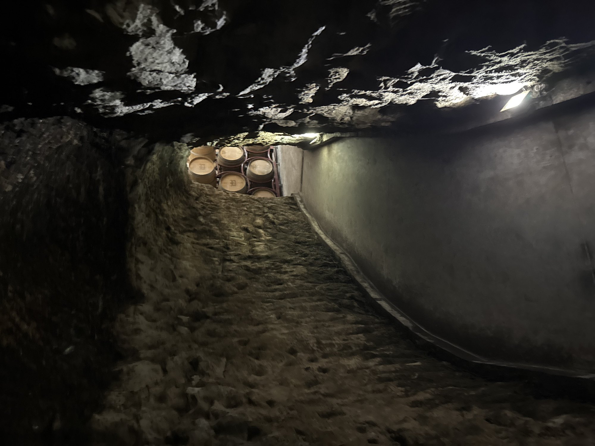 The image displays a dimly lit, underground tunnel or cellar, located in Harsovo, Bulgaria. The tunnel is excavated, featuring rough, irregular rock or earth walls with varied textures and protrusions, ranging in color from dark brown to grey. A smooth, grey concrete pathway occupies the floor, gently curving to the left in the distance. A low, light-colored curb or ledge runs along the base of the left wall. The environment is illuminated by artificial light sources; several small, directed lights are mounted low on the right wall, casting bright, localized illumination onto the textured rock surface and creating distinct shadows. Further into the tunnel, to the left, an alcove or wider chamber is visible, containing multiple wooden barrels stacked horizontally on racks. These barrels are light brown and exhibit numerical markings, such as "208" and "214." No individuals or other significant objects are present.