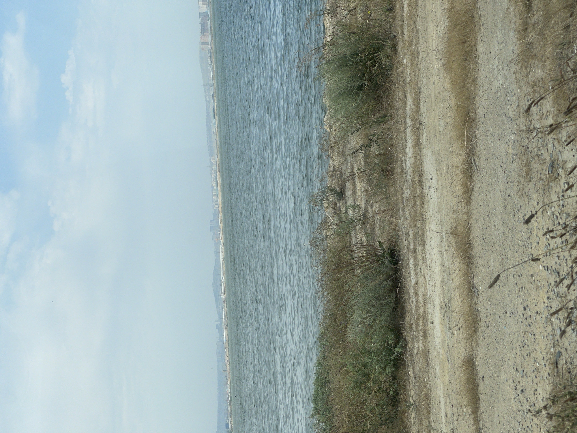 The image depicts a coastal landscape, likely in the Sabunchu Raion of Azerbaijan. In the foreground, a dirt path runs horizontally across the frame, interspersed with patches of dry grass and small stones. Beyond the path, a strip of dense, dry vegetation and low green bushes lines the edge of a large body of water. The water itself is a deep blue-grey, with small ripples on its surface, suggesting a gentle breeze. In the distance, a city skyline is visible along the horizon, characterized by a cluster of buildings and structures that appear to be residential and industrial. The sky above is a pale blue with scattered, wispy white clouds, indicating a bright, possibly hazy day. The overall impression is one of a somewhat arid, undeveloped coastal area adjacent to an urbanized coastline.