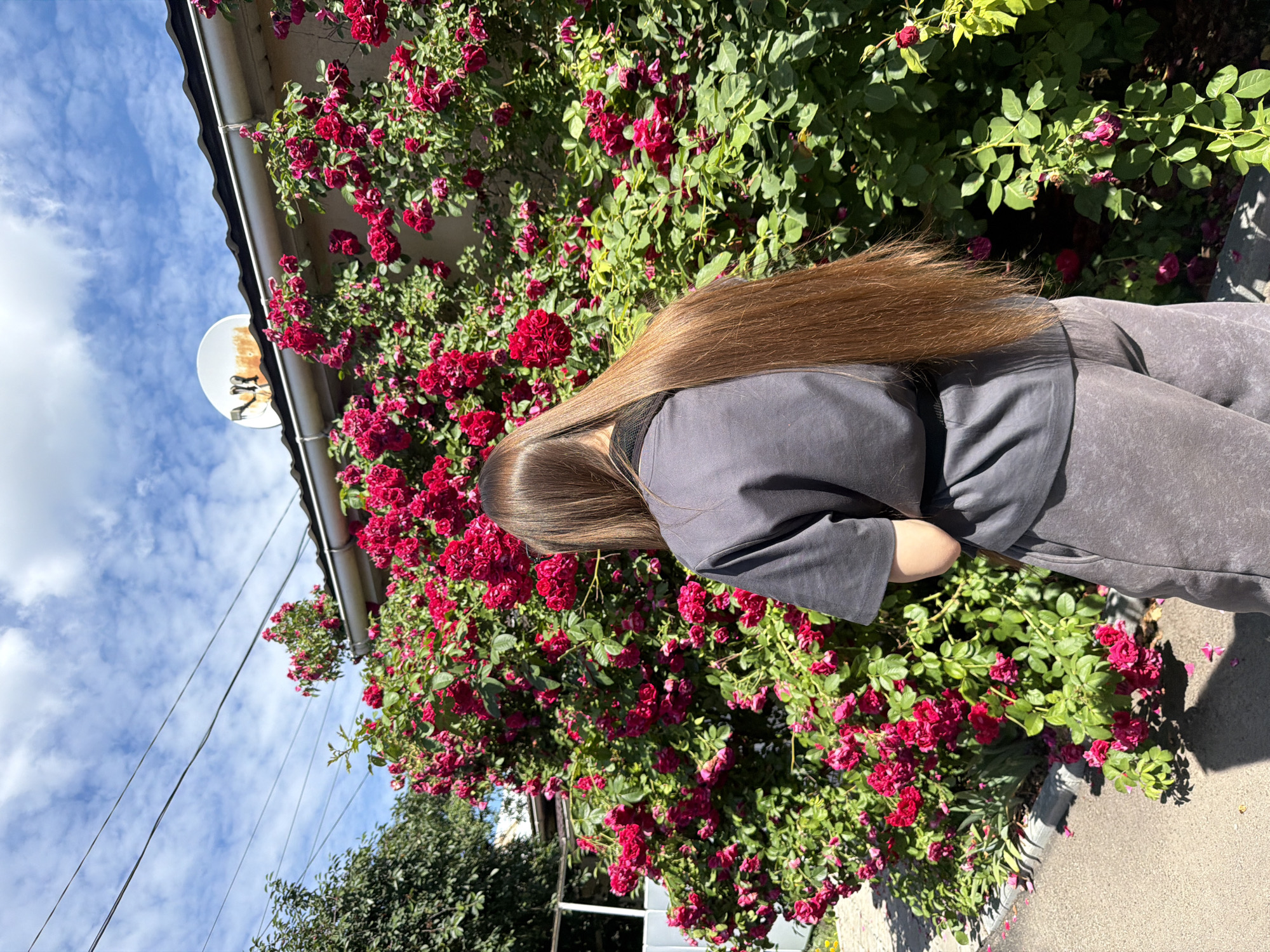 The image shows a young woman with long, brown hair standing in front of a large bush of red roses. She is wearing a dark gray t-shirt and sweatpants. The rose bush is in full bloom, with many red roses and green leaves. Behind the rose bush, a building with a dark roof and a satellite dish can be seen. Power lines are visible against a blue sky with white clouds. The scene appears to be in a residential area. The location in the city of Dnipro, Ukraine is not specified in the image itself and cannot be determined from the visual information provided.