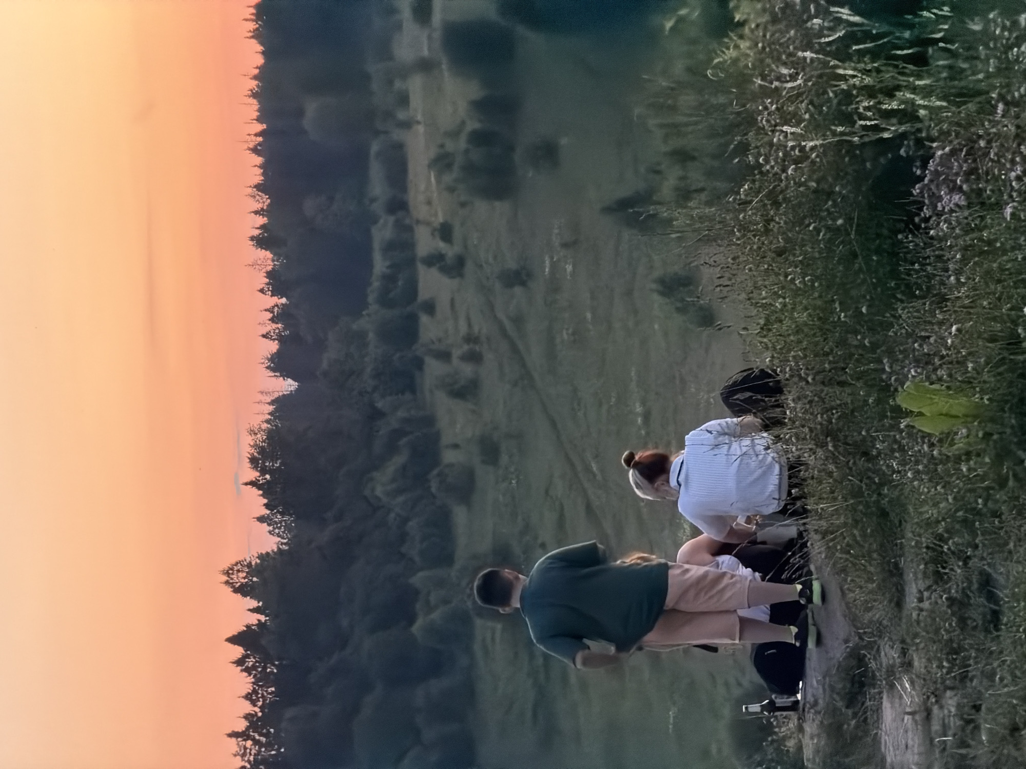 This is a vertical, candid, full-shot photograph taken at dusk in Krasnogorsk, Russia. The image features a group of four people seated on the edge of a grassy slope, overlooking a valley filled with trees. The sky is a gradient of orange and pink, indicating sunset.
In the foreground, a man in a green t-shirt and light-colored shorts is seated, facing away from the camera. To his right, a woman with her hair in a bun wears a white striped shirt and light-colored shorts. She is looking down. Two other people are partially visible, seated behind them. One appears to be wearing a dark shirt. The group seems to be enjoying the view as the sun sets.
The scene is serene, with the warm glow of the sunset casting a soft light over the landscape. The lush greenery of the slope contrasts with the dark silhouettes of the trees in the valley. The overall mood is peaceful and contemplative, suggesting a moment of shared appreciation for nature. No text is visible in the image.