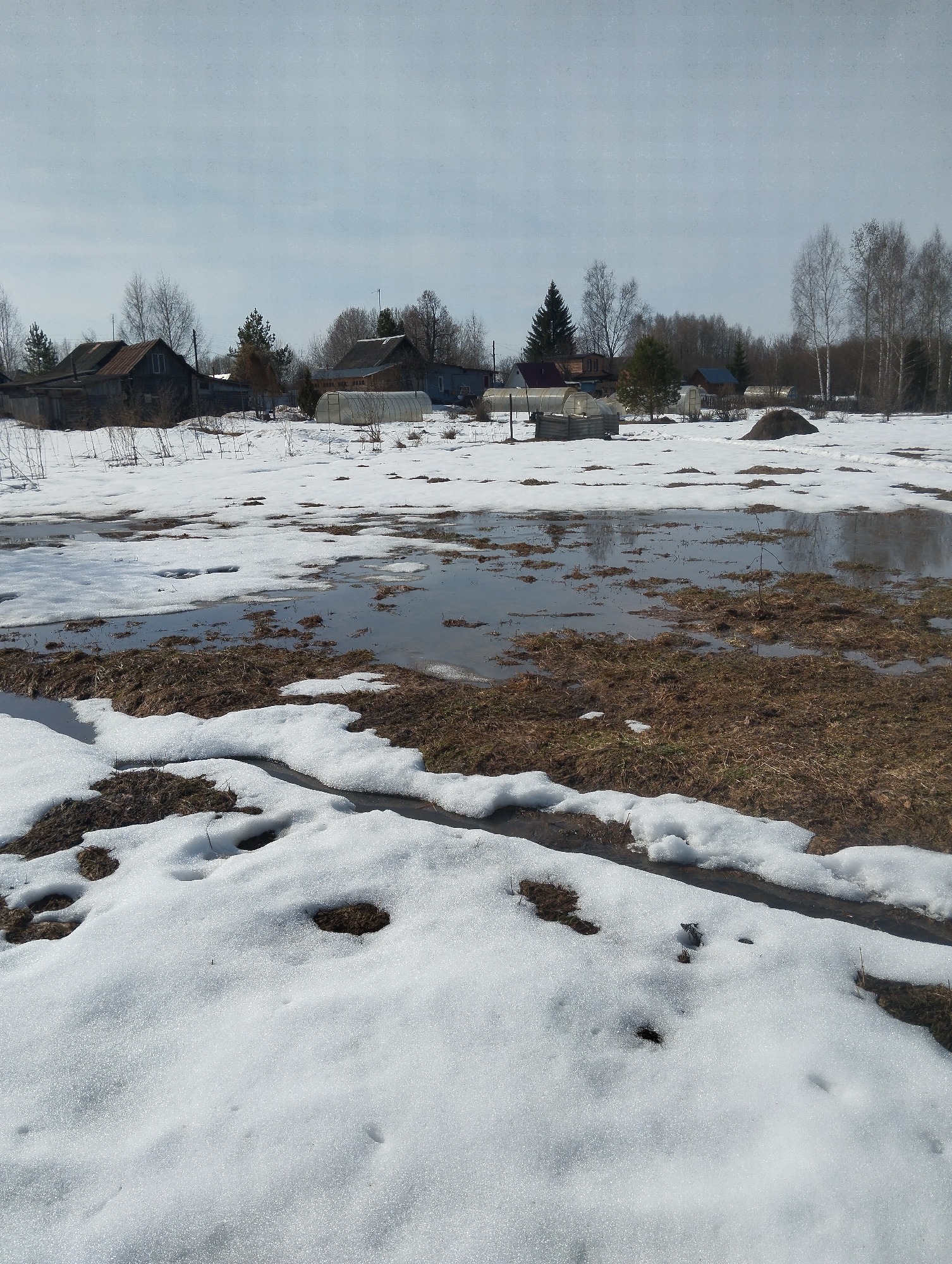The image shows a thawing rural landscape near Grishanki, Russia. Patches of melting snow cover a field with standing water. Houses and trees are visible in the background. No people are visible. Several greenhouses are in the distance. A small mound of earth is also present in the midground. The sky is overcast.