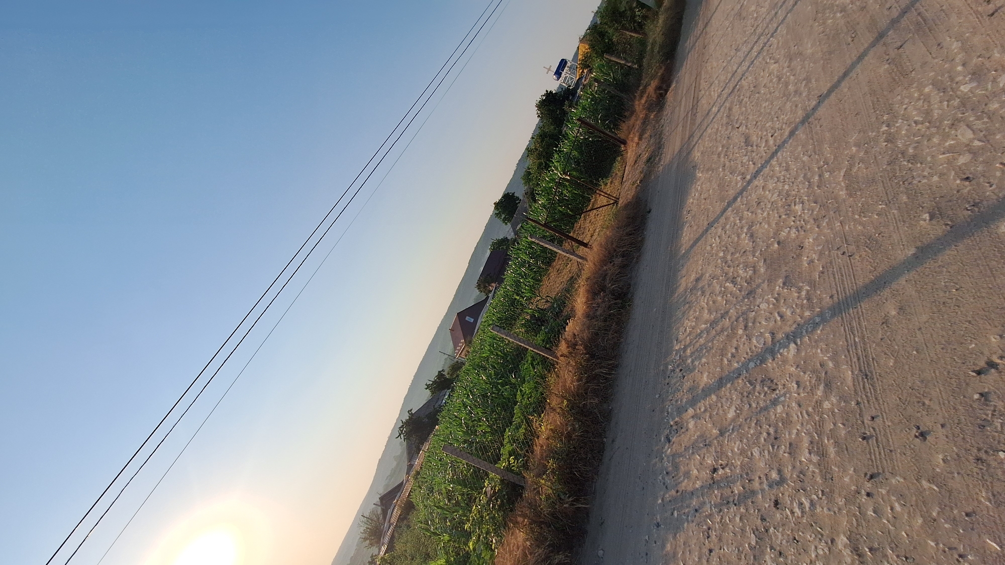 The image shows a rural landscape under a clear blue sky. In the foreground, a dirt road runs diagonally across the frame, with tire tracks visible on its surface. The road is illuminated by the low sun, casting long shadows from an unseen object. To the left of the road, a fence made of wooden posts and wire mesh separates the road from a field of green crops, likely corn, which extends into the middle ground. Behind the crops, several houses with red-tiled roofs are visible, nestled among trees and on a gentle hillside. In the far background, rolling hills are visible under the bright sky. A few power lines are strung across the upper portion of the image. The overall impression is one of a tranquil, rural setting in Sărata-Galbenă, Moldova, likely captured during the late afternoon or early morning given the low angle of the sun.
