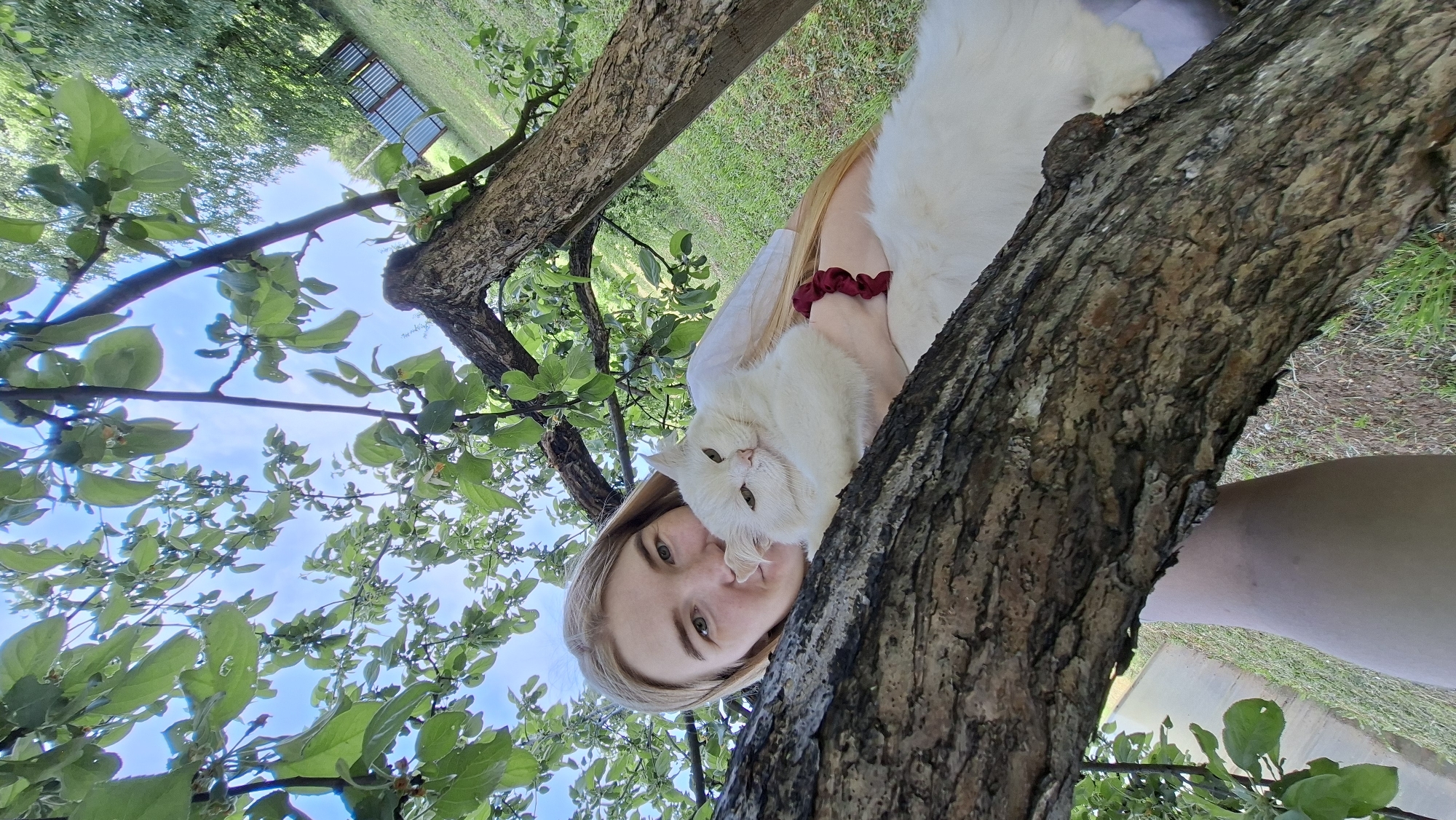 A woman with blonde hair holds a white cat in a tree. The location appears to be an outdoor setting, with greenery and trees visible, possibly in the city of Большой Букор, Russia.